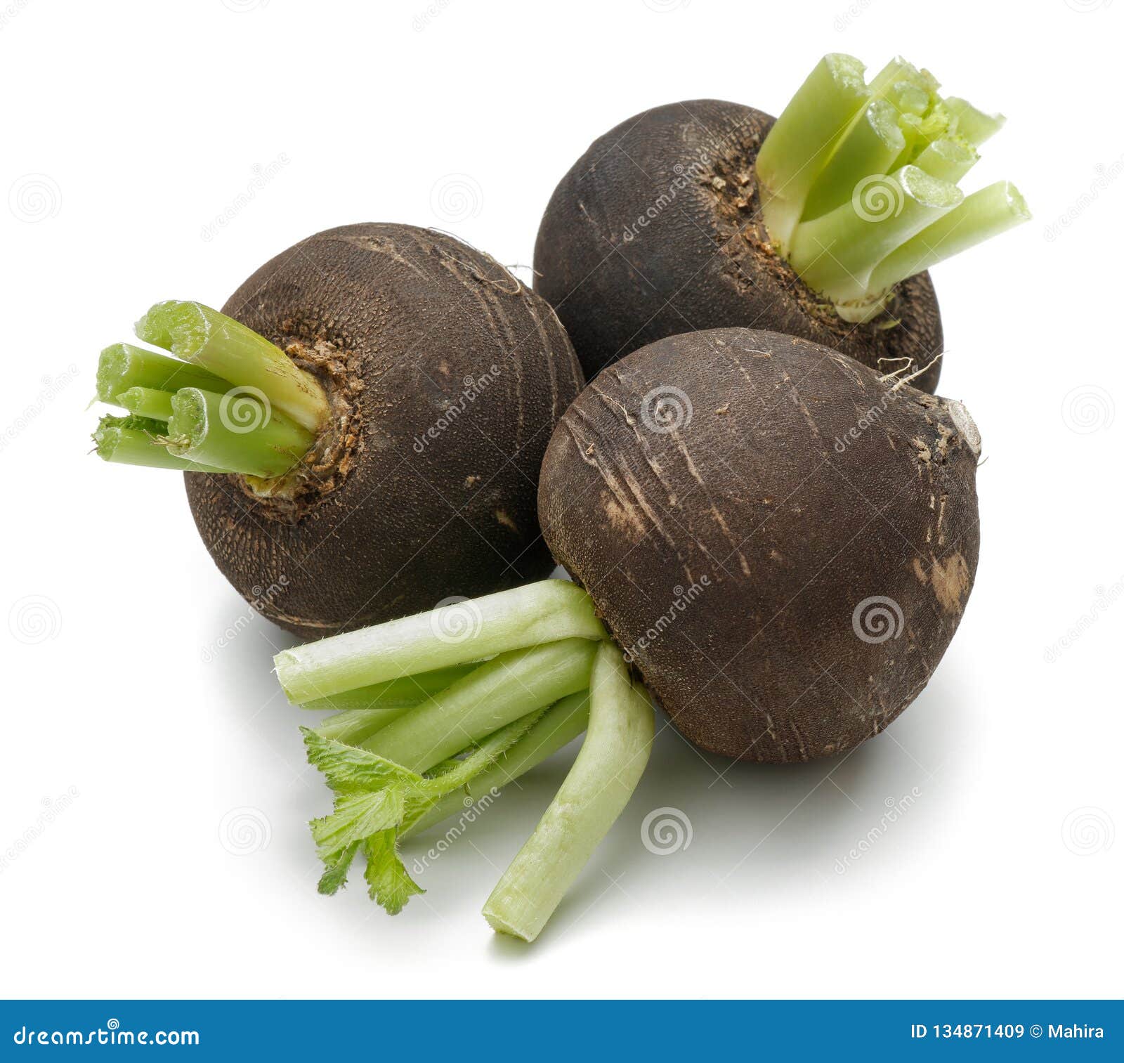 Three Black Radish Isolated on White Stock Image Image of background
