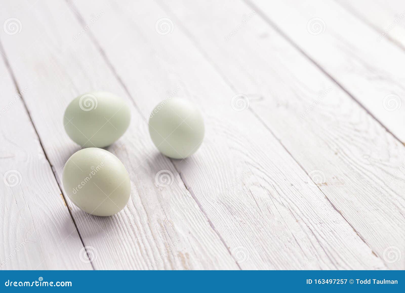 Three Blue Green Eggs on Wood Background Stock Image Image of