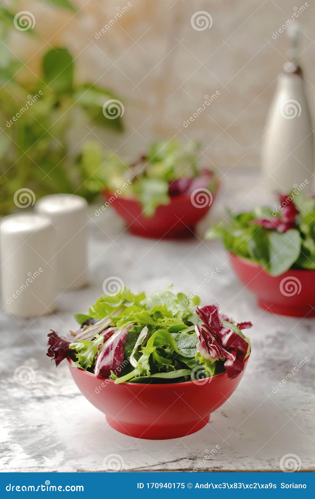 Red bowl with salad stock image. Image of dragon, balanced - 170940175