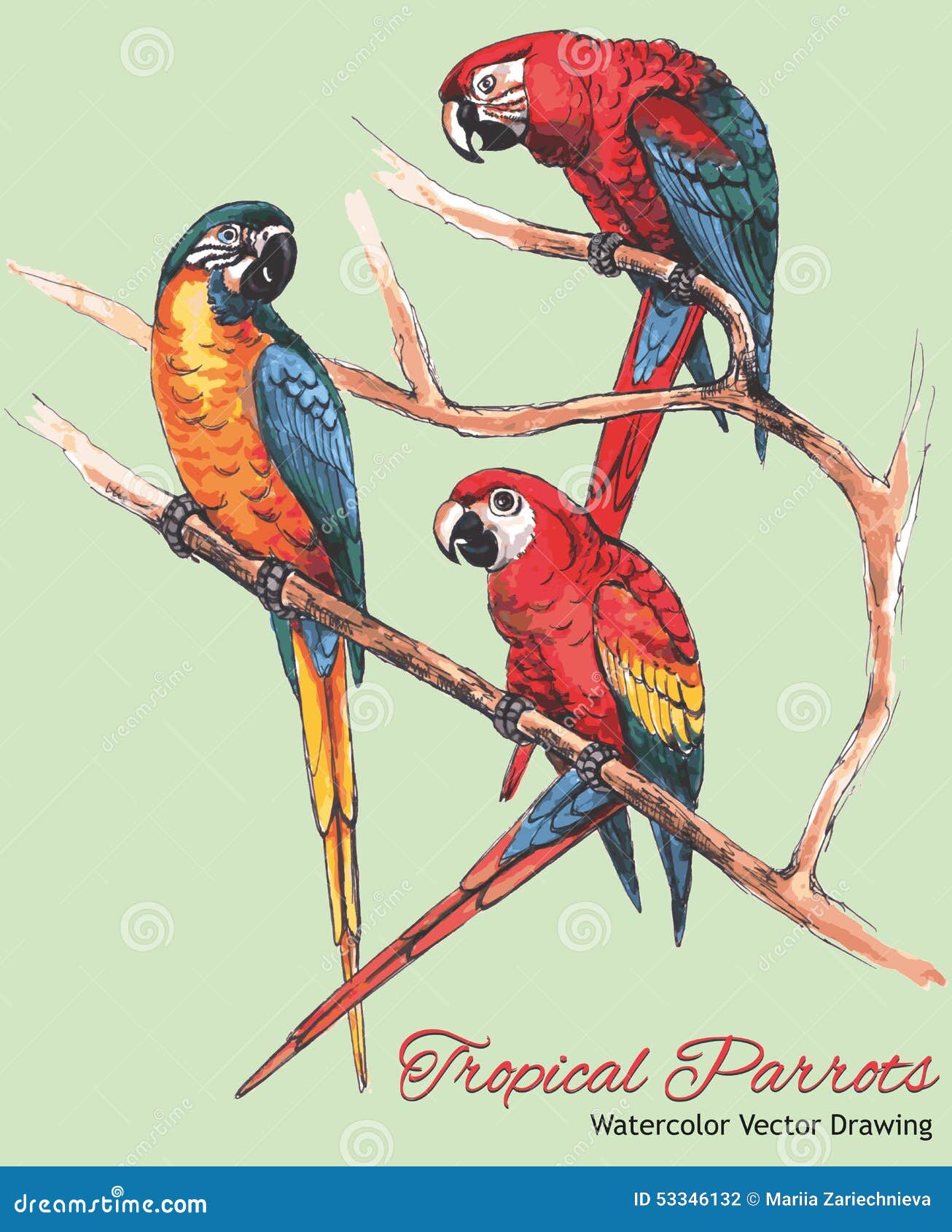 Aggregate more than 79 macaw parrot drawing