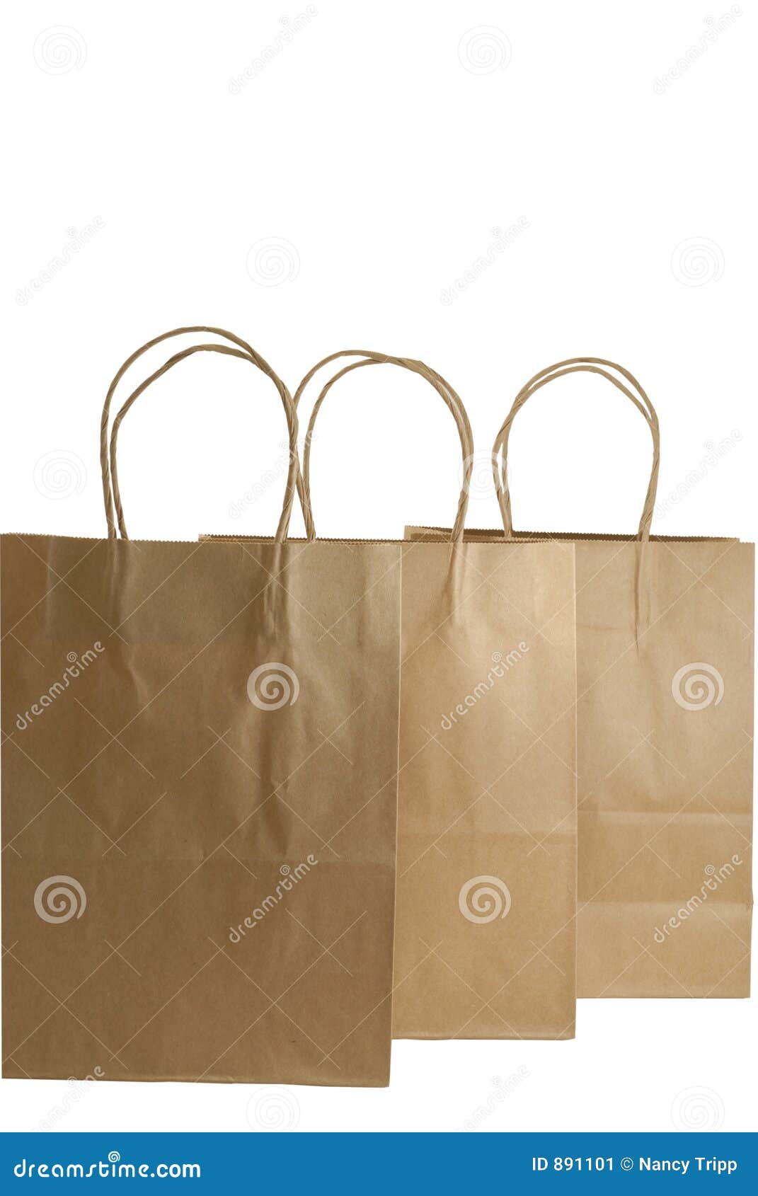 Details 73+ brown paper gift bags best - in.duhocakina