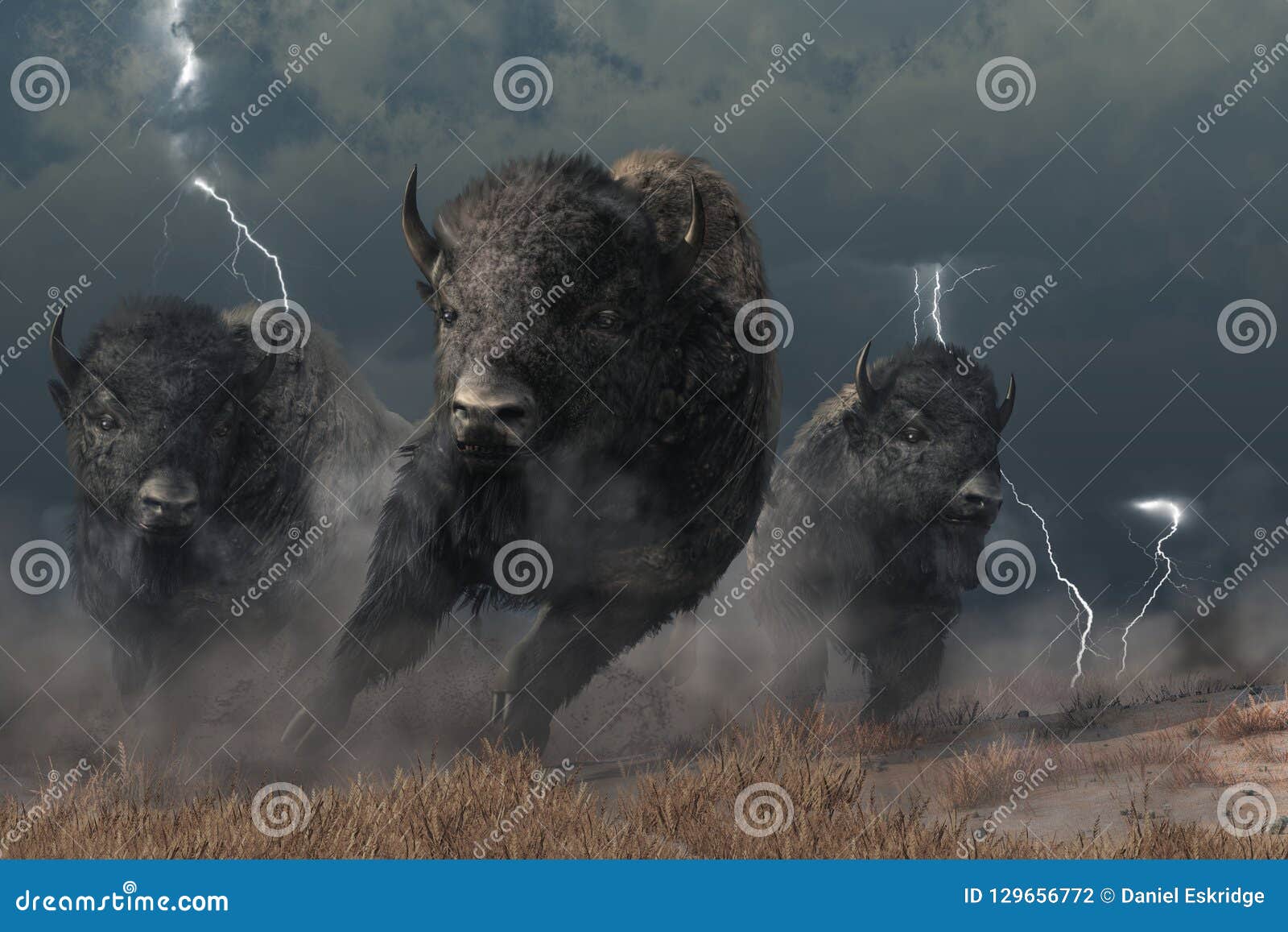 buffalo in a storm