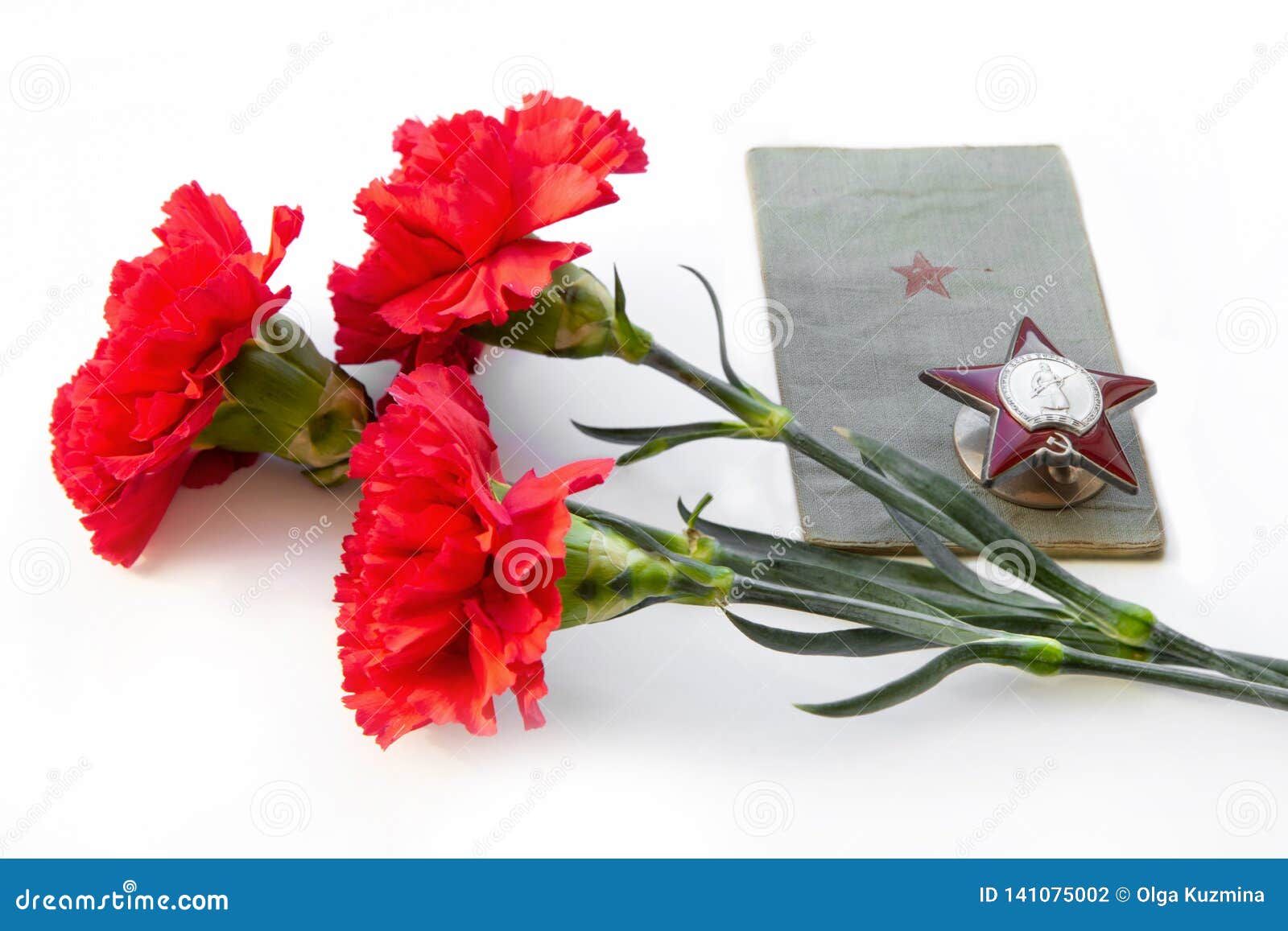 Three Carnations, The Order Of The Red Star, A Military Book On A White