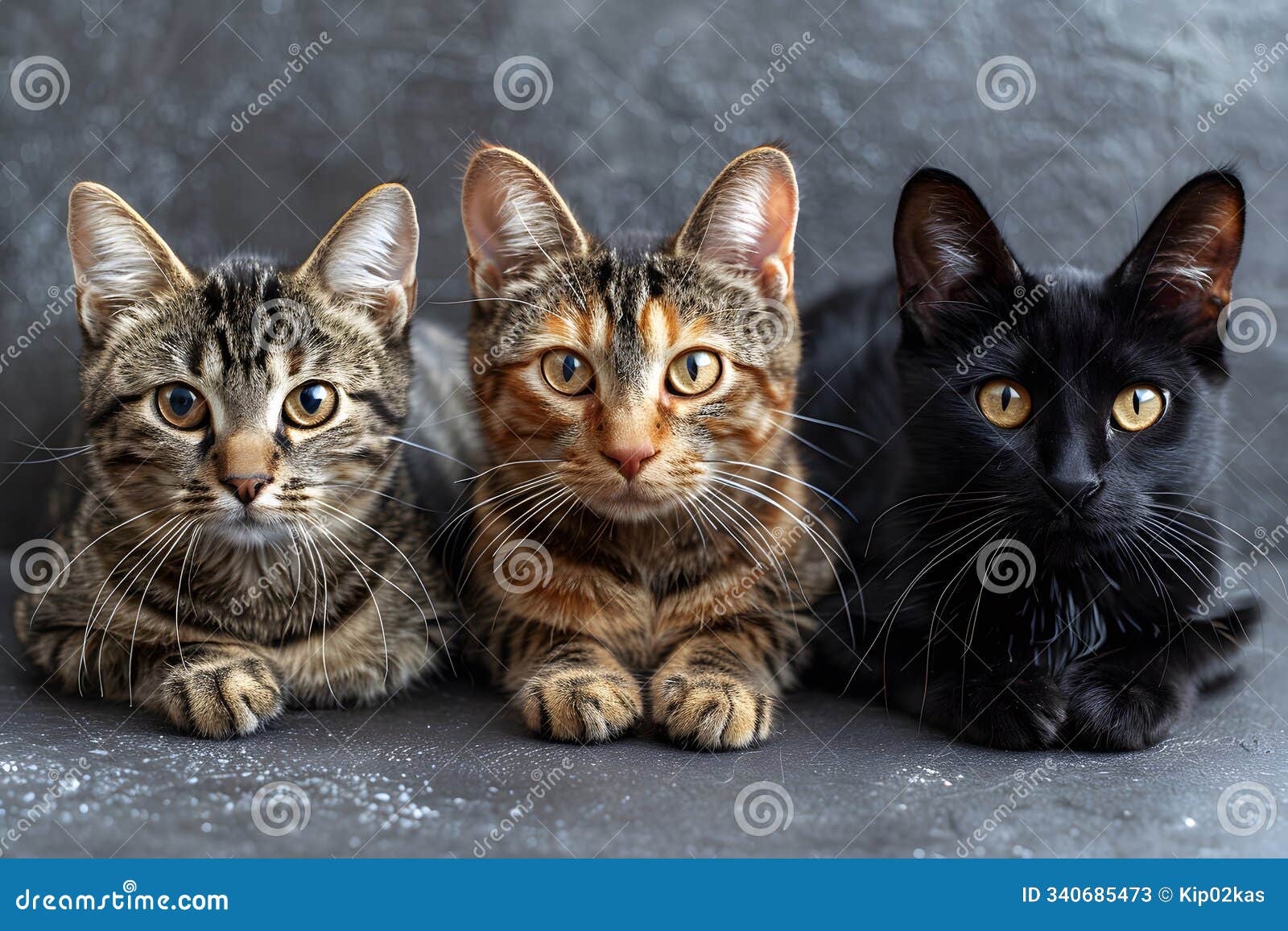 adorable trio of cats relaxing on gray background for pet-themed  generative ai