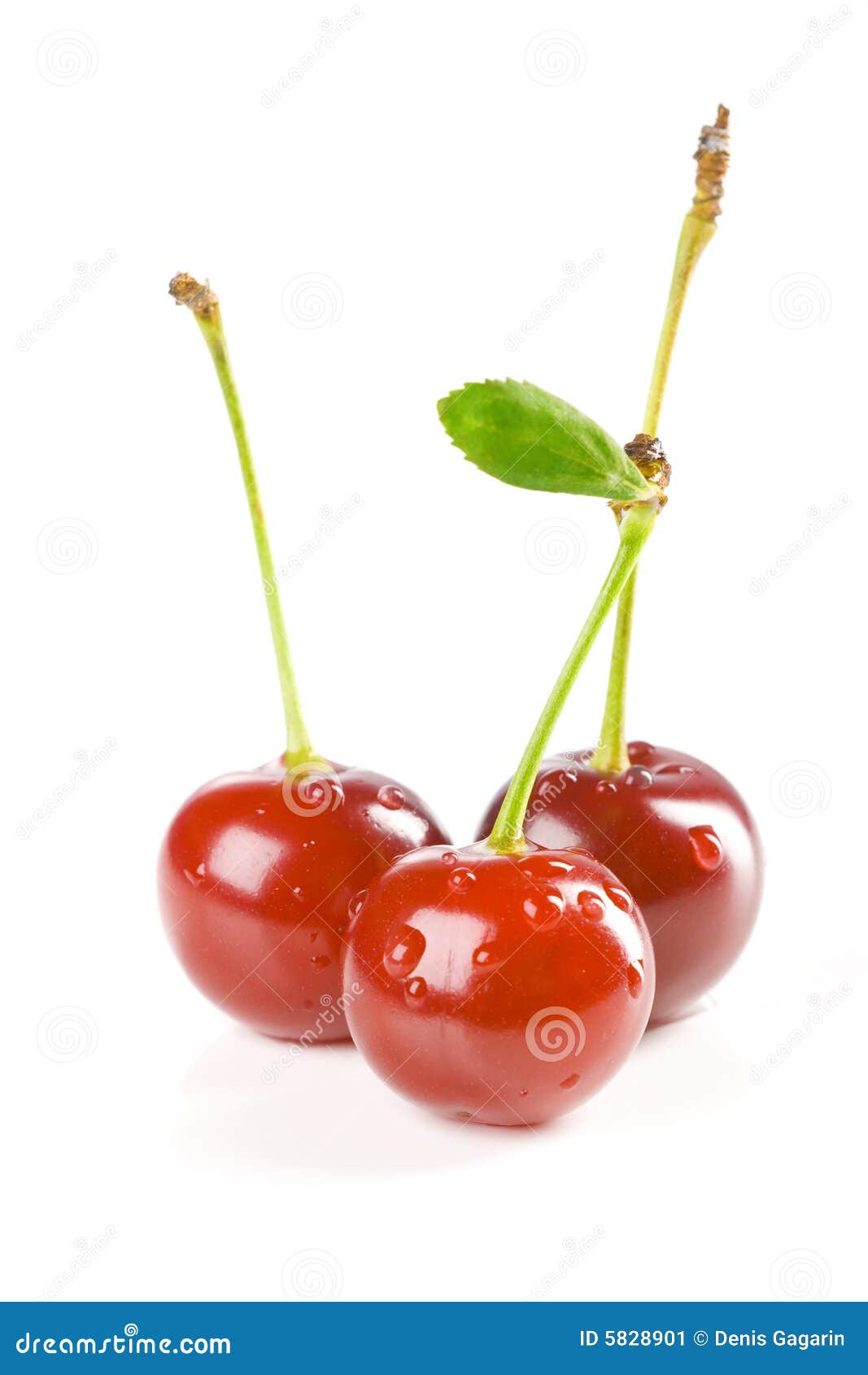 Three cherries stock image. Image of edible, color, sweet 5828901