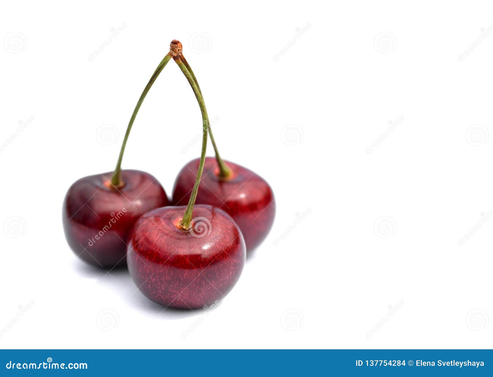 Three Cherries Isolated on a White Background Stock Photo Image of