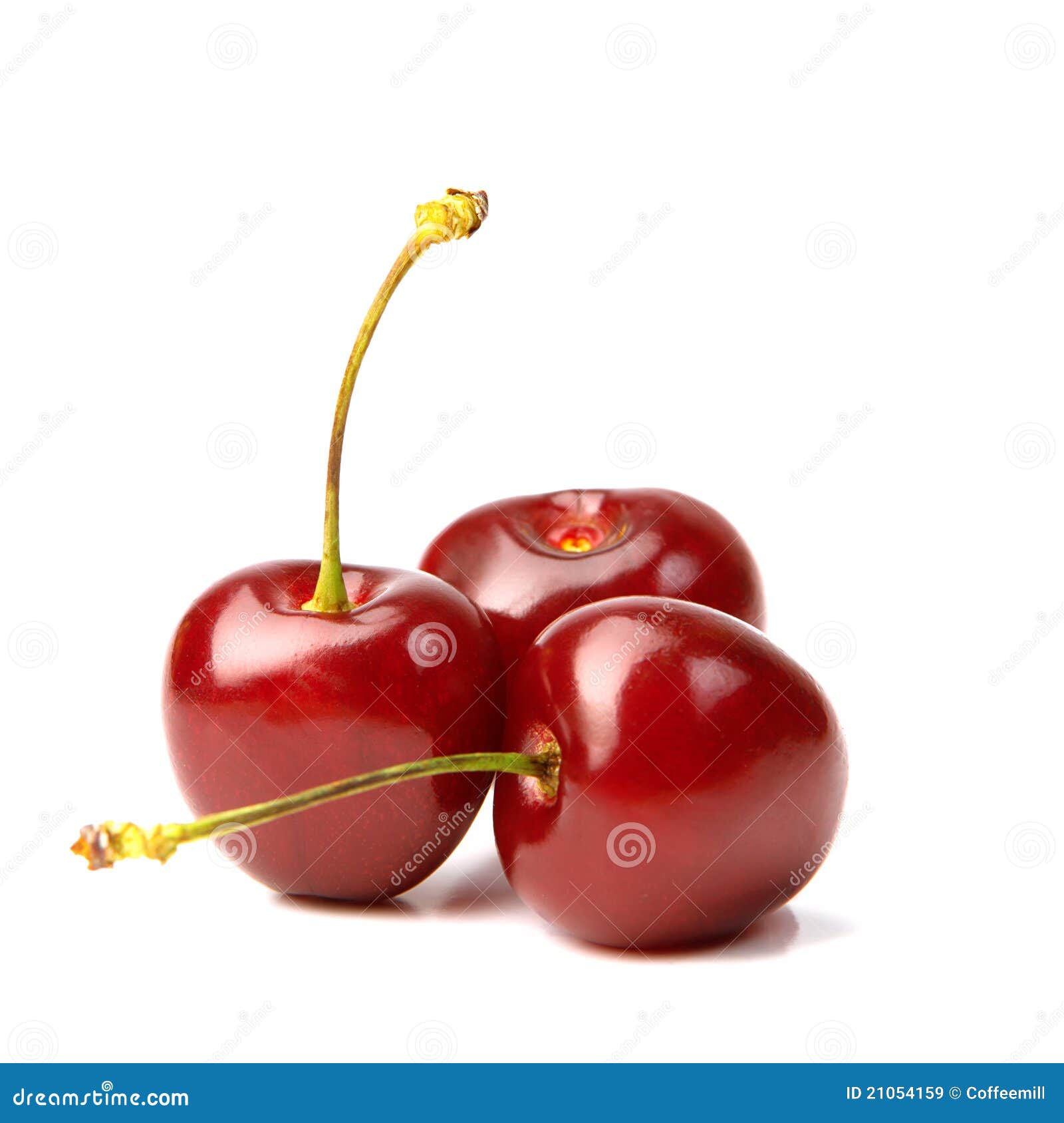 Three Cherries on a White Background Stock Image - Image of branch ...