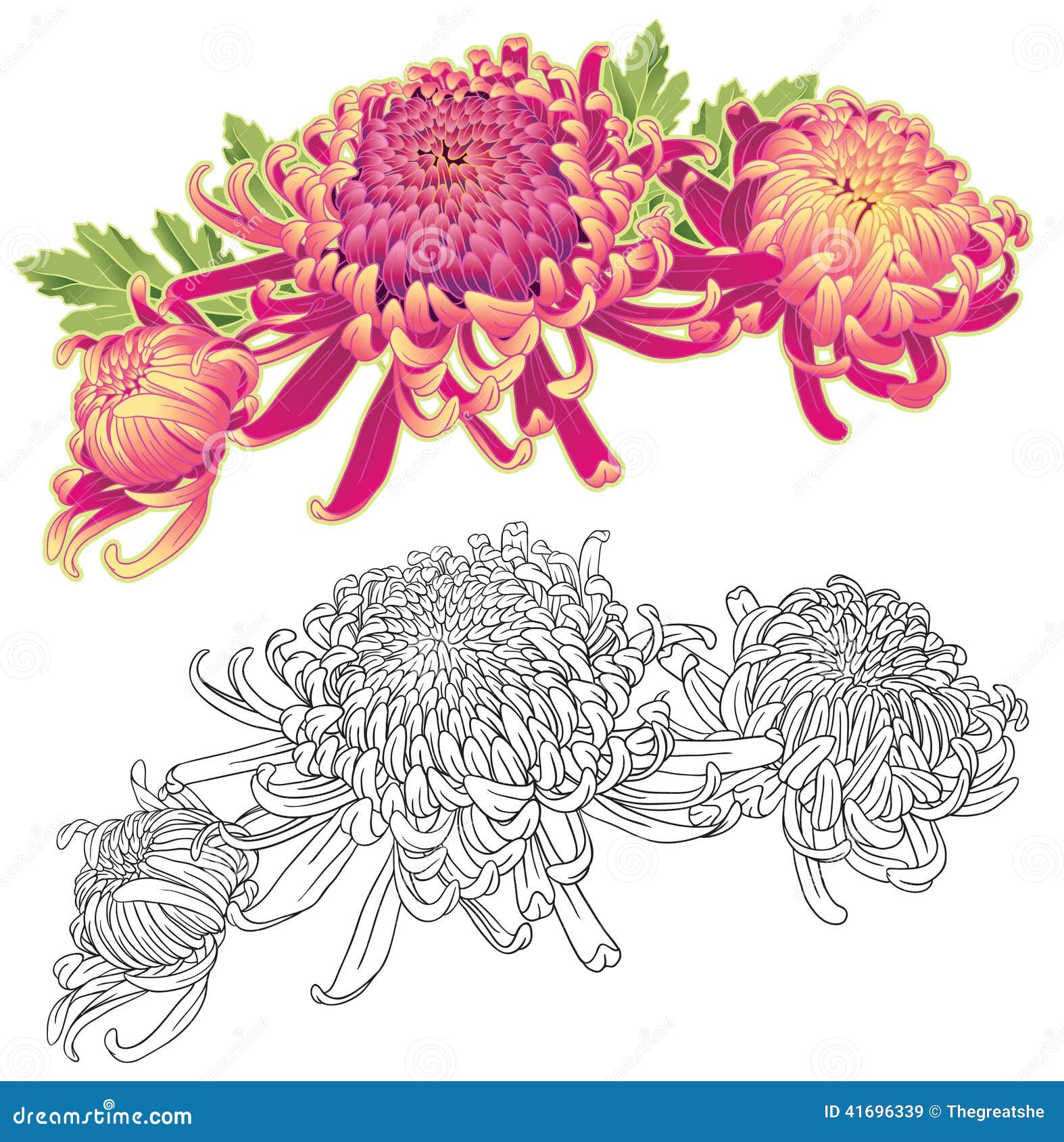 three chrysanthemum flower composition