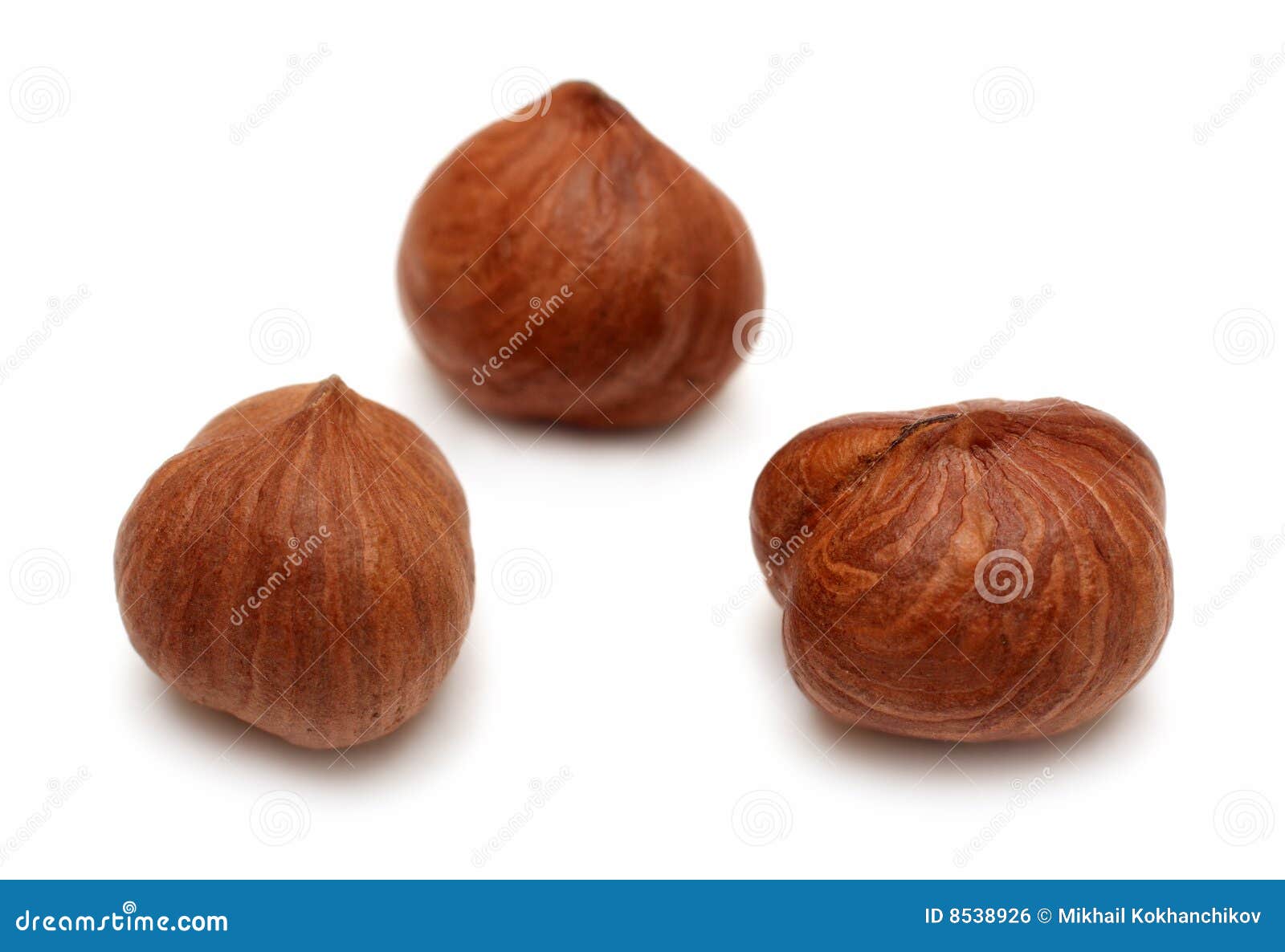 Three clear hazelnuts stock photo. Image of three, nucleus 8538926