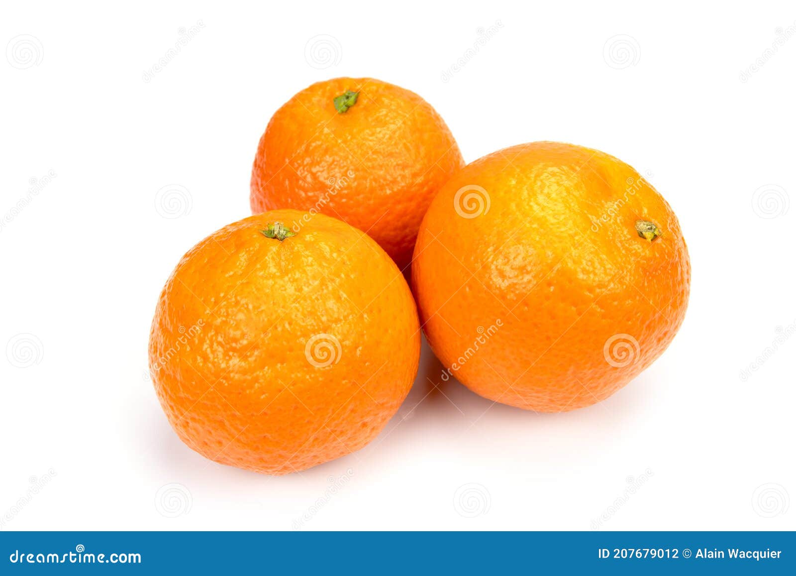 Clementines Isolated on a White Background Stock Photo Image of