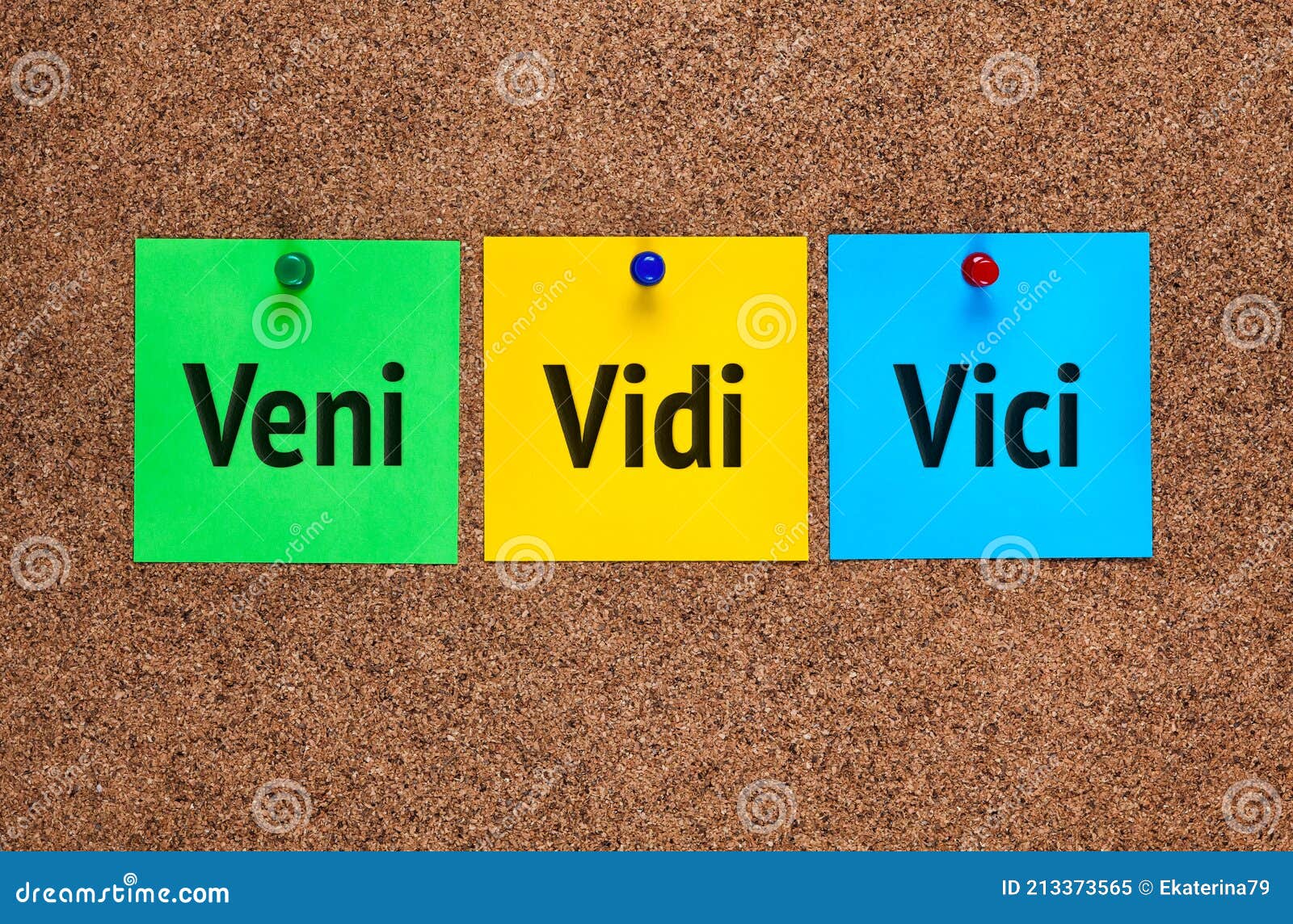 113 Veni Vidi Vici Images, Stock Photos, 3D objects, & Vectors