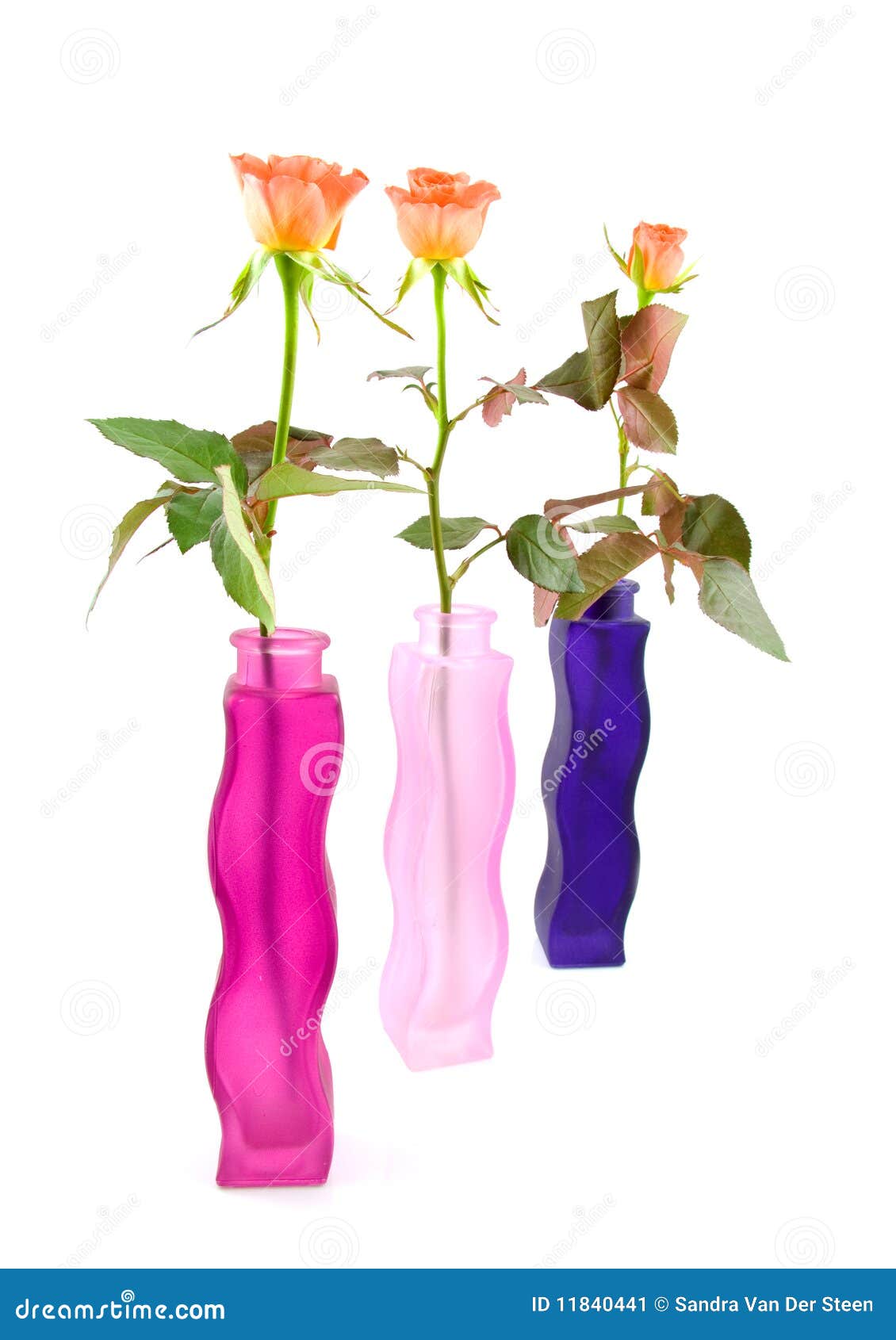 Three Colored Vases with Roses Stock Image Image of pink, summer