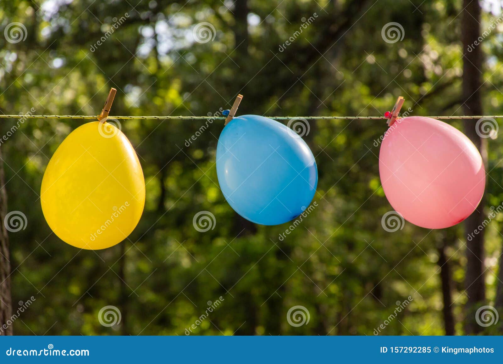 three colorful balloons blowing in the wind outdoors in the forest for a celebration and happy birthday party