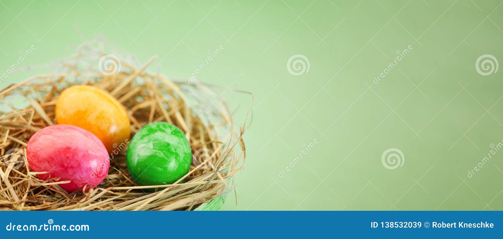 Easter Eggs in the Nest for Easter As a Panorama Header Stock Image