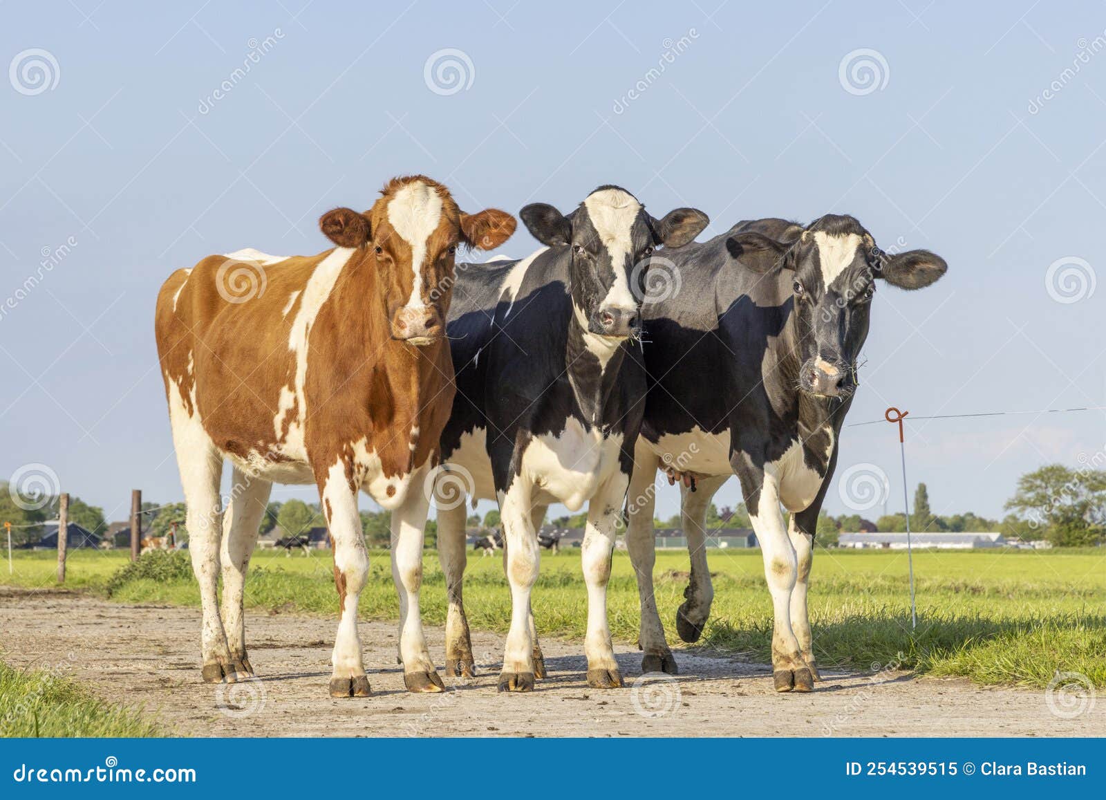 3 Boon Raw Farm Royalty-Free Images, Stock Photos & Pictures