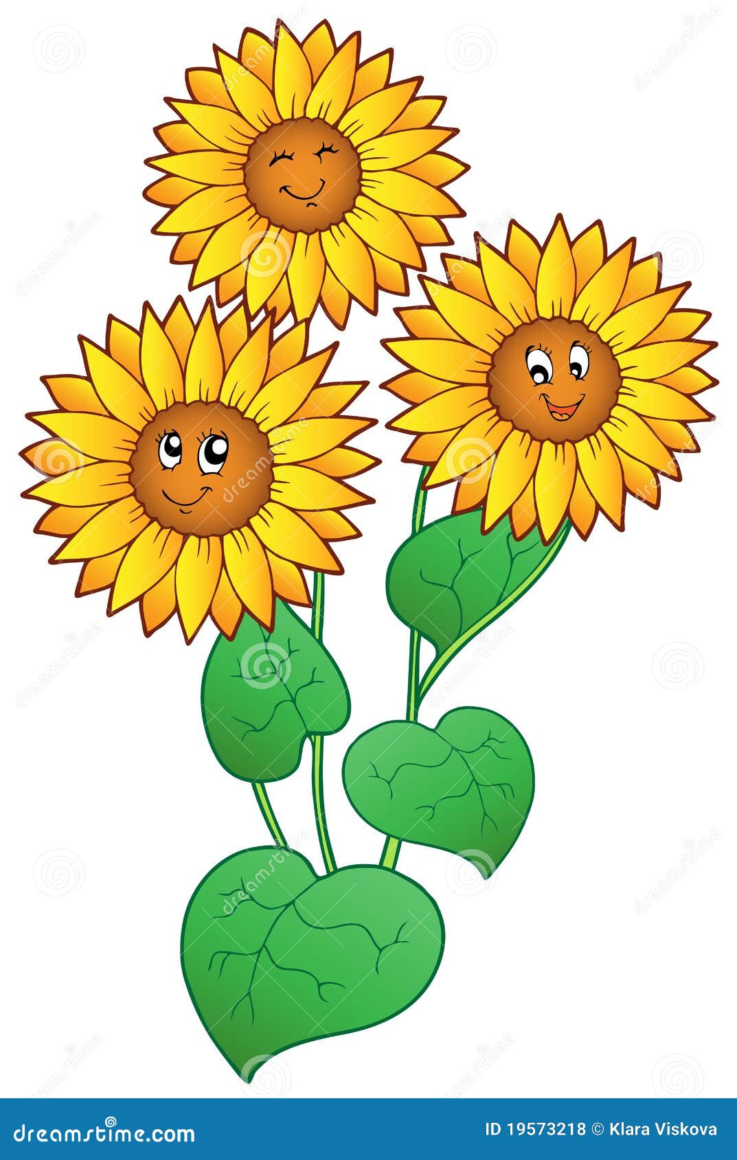 Three Cute Sunflowers Royalty Free Stock Photos Image 19573218