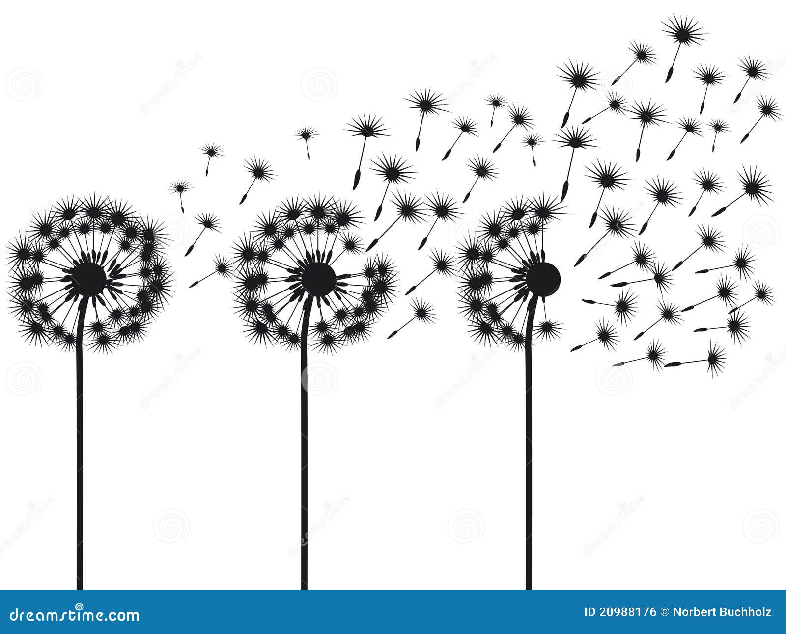 Three dandelions black and white illustration.