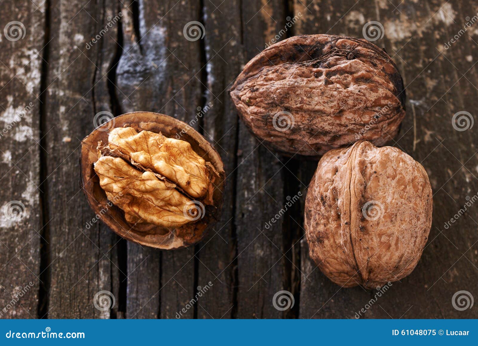 Three delicious walnuts stock image. Image of omega, nutrition 61048075
