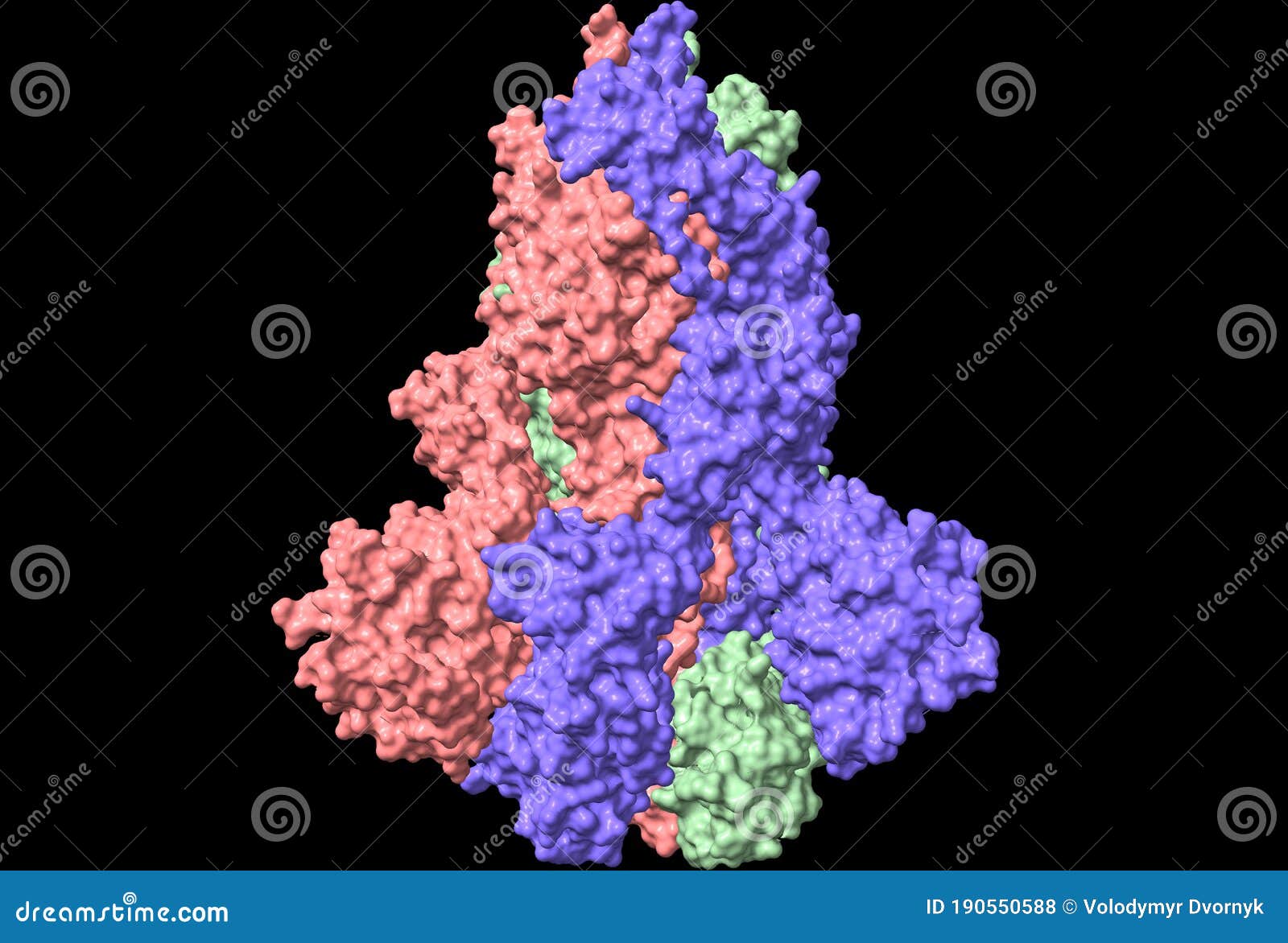 three-dimensional structure of the sars-cov-2 spike glycoprotein