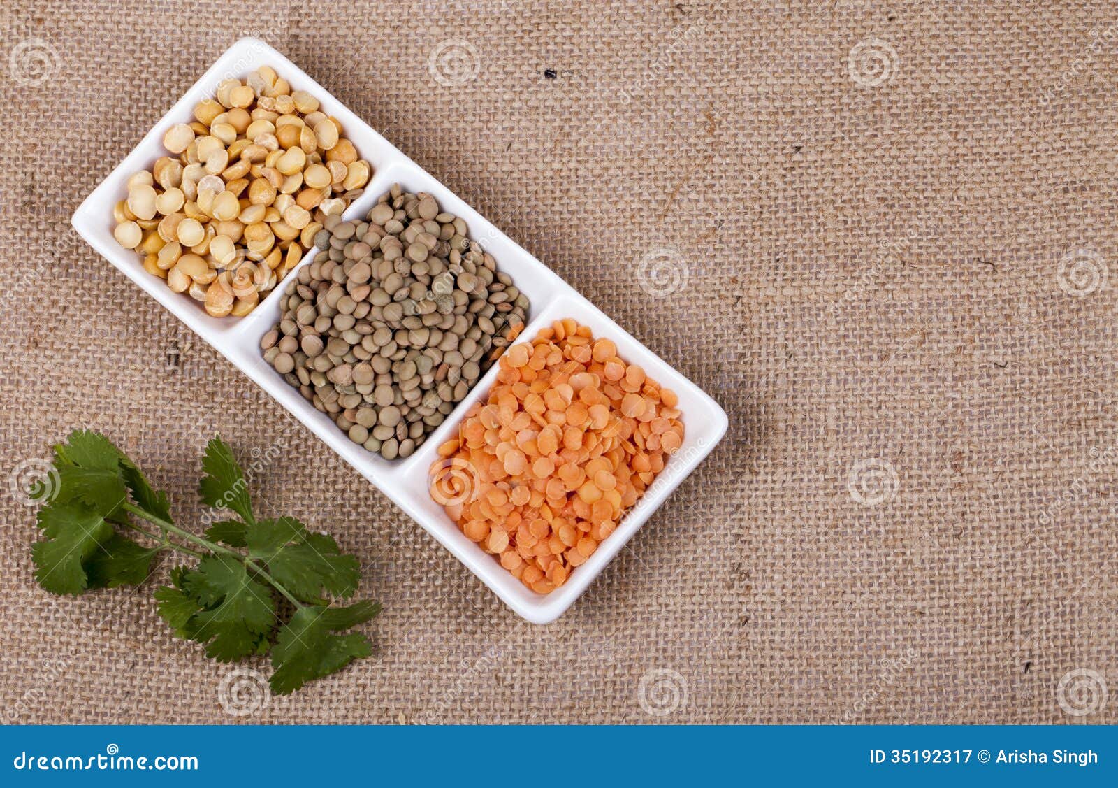 Three Dried Legumes with Fresh Herbs Stock Image Image of uncooked
