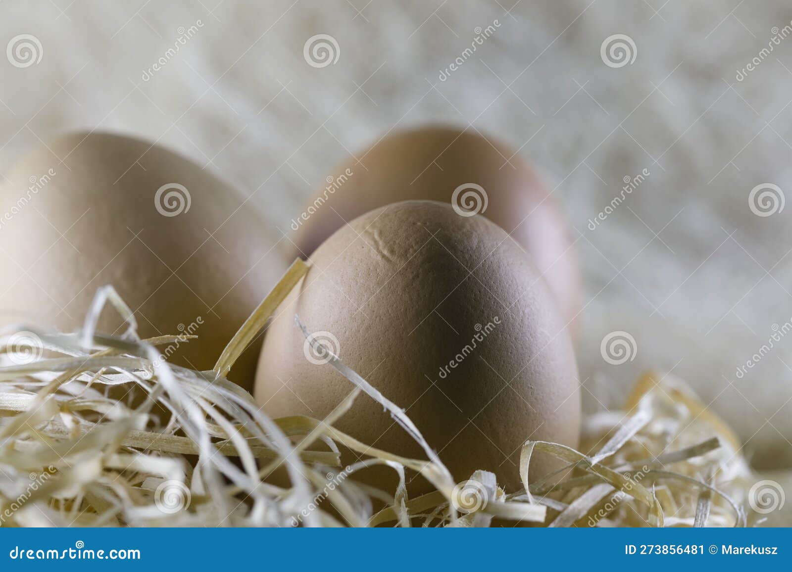 Three Eggs are in an Artificially Arranged Nest Stock Image Image of