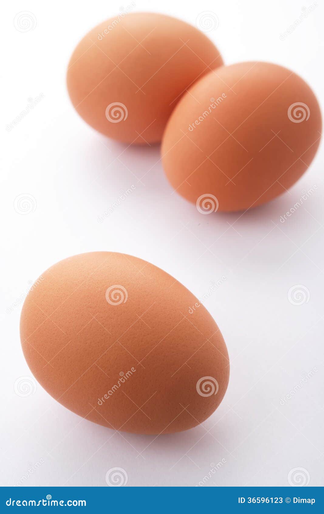 Three eggs stock image. Image of studio, brown, pets 36596123