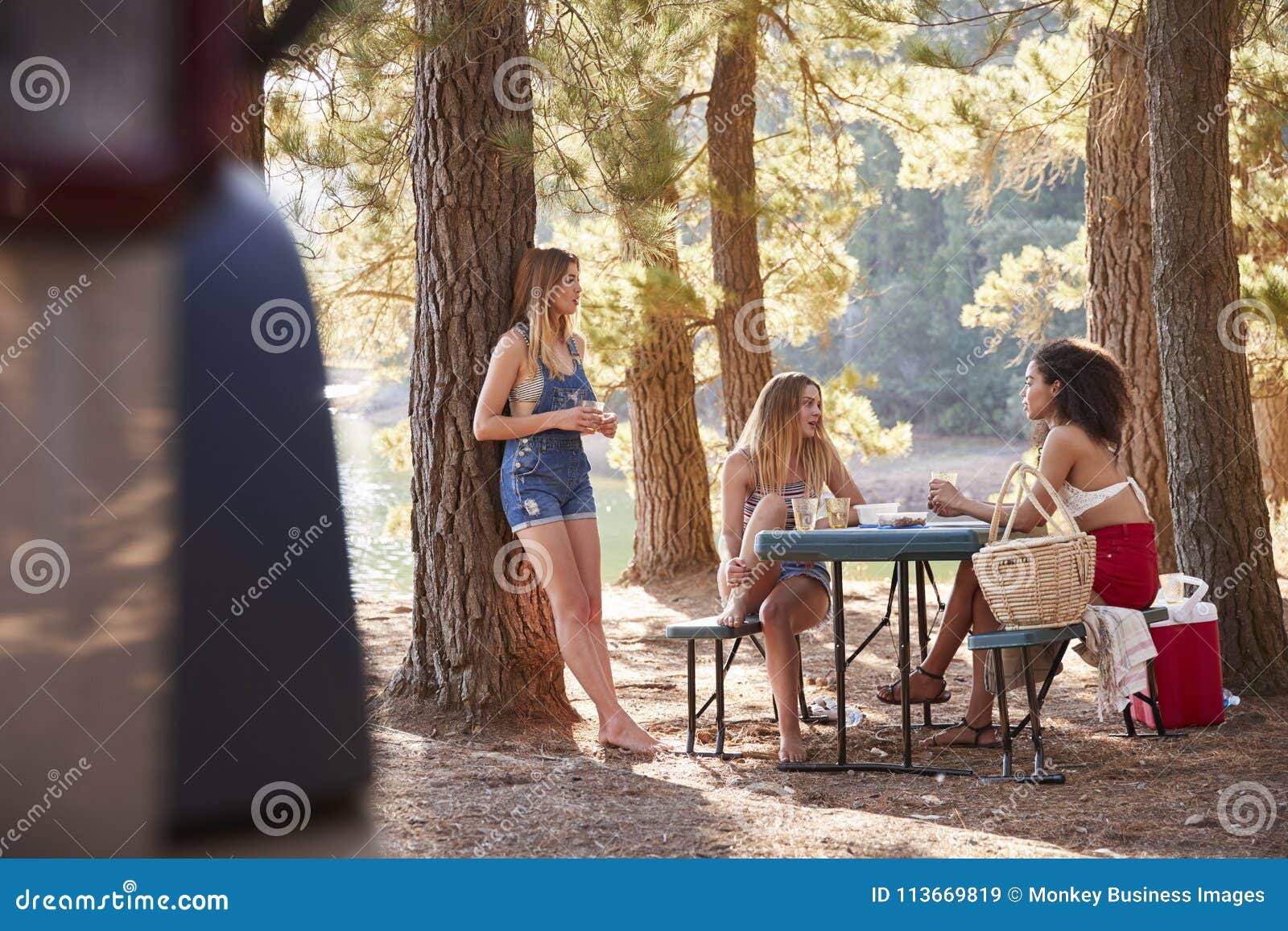 Friends hanging out, enjoying picnic - Stock Image - F020/2364 - Science  Photo Library