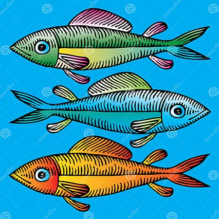 Three fish hand drawing stock vector. Illustration of swimming - 16269940