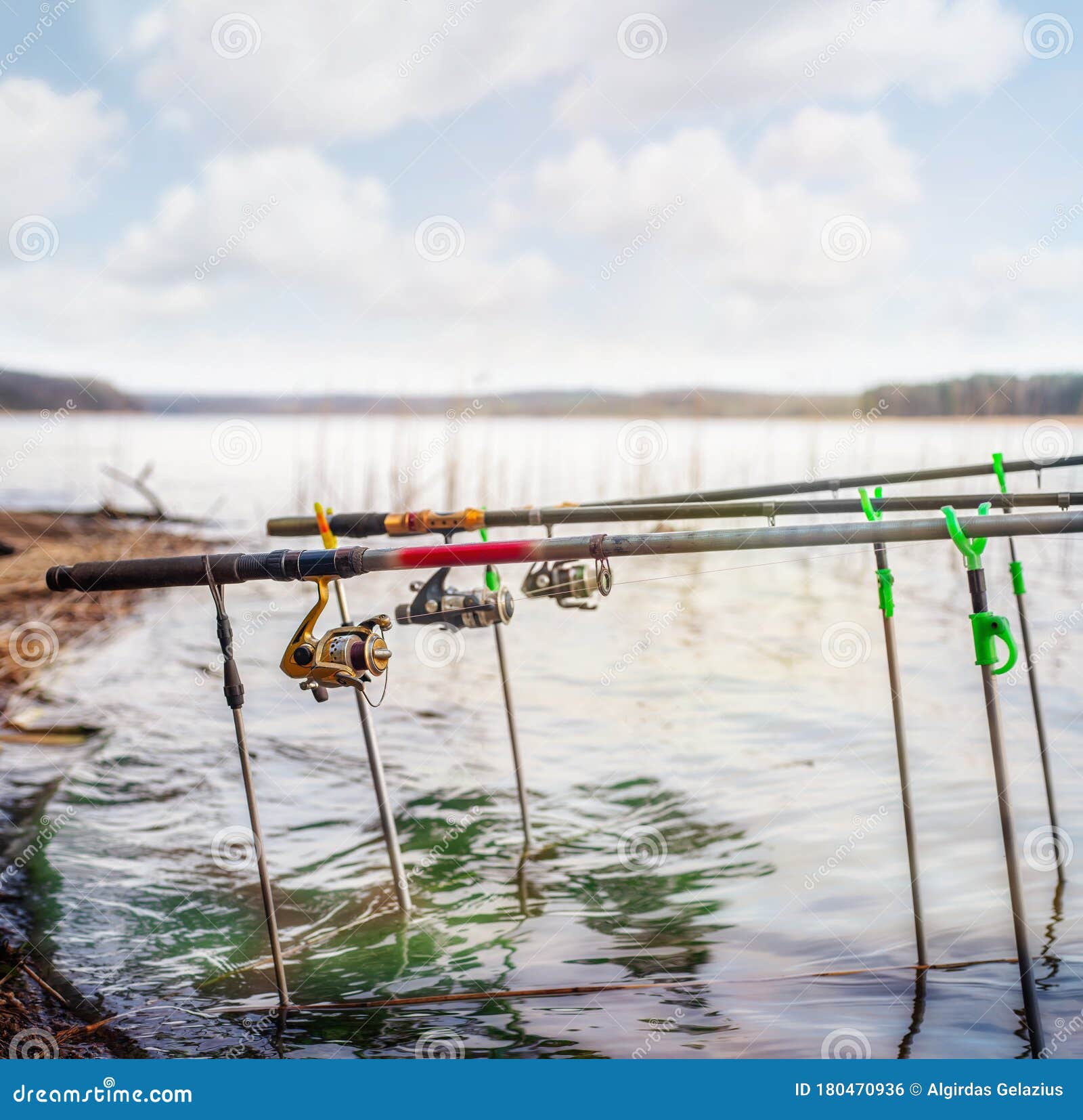 Three Fishing Rods on the Lake Shore Stock Photo Image of spool