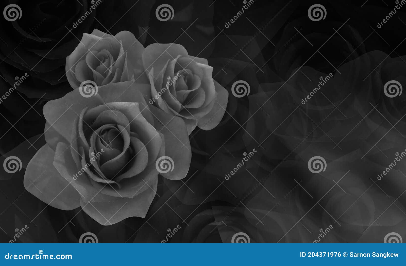 Three Flower Group on Blur Nature Background, Name Card, Object, Copy