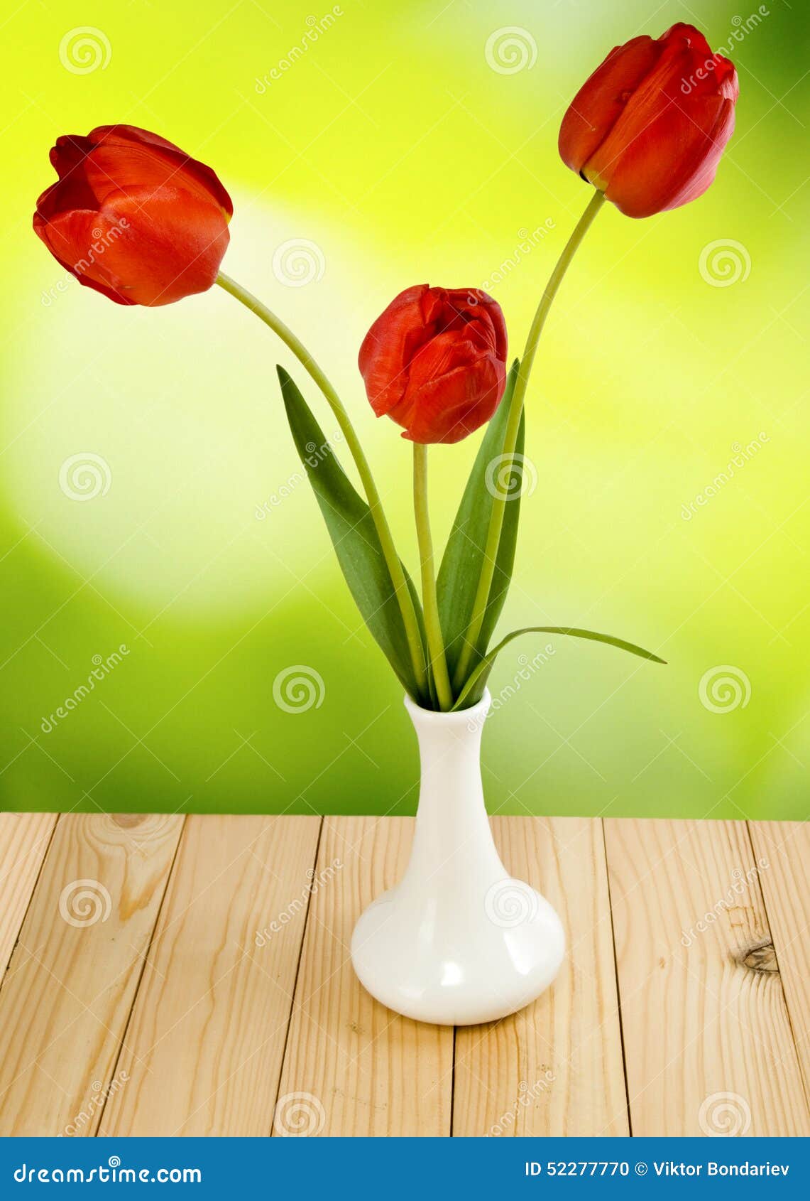 Three Flowers Tulips In A Vase On A Green Background Stock Photo Image of closeup, botanical