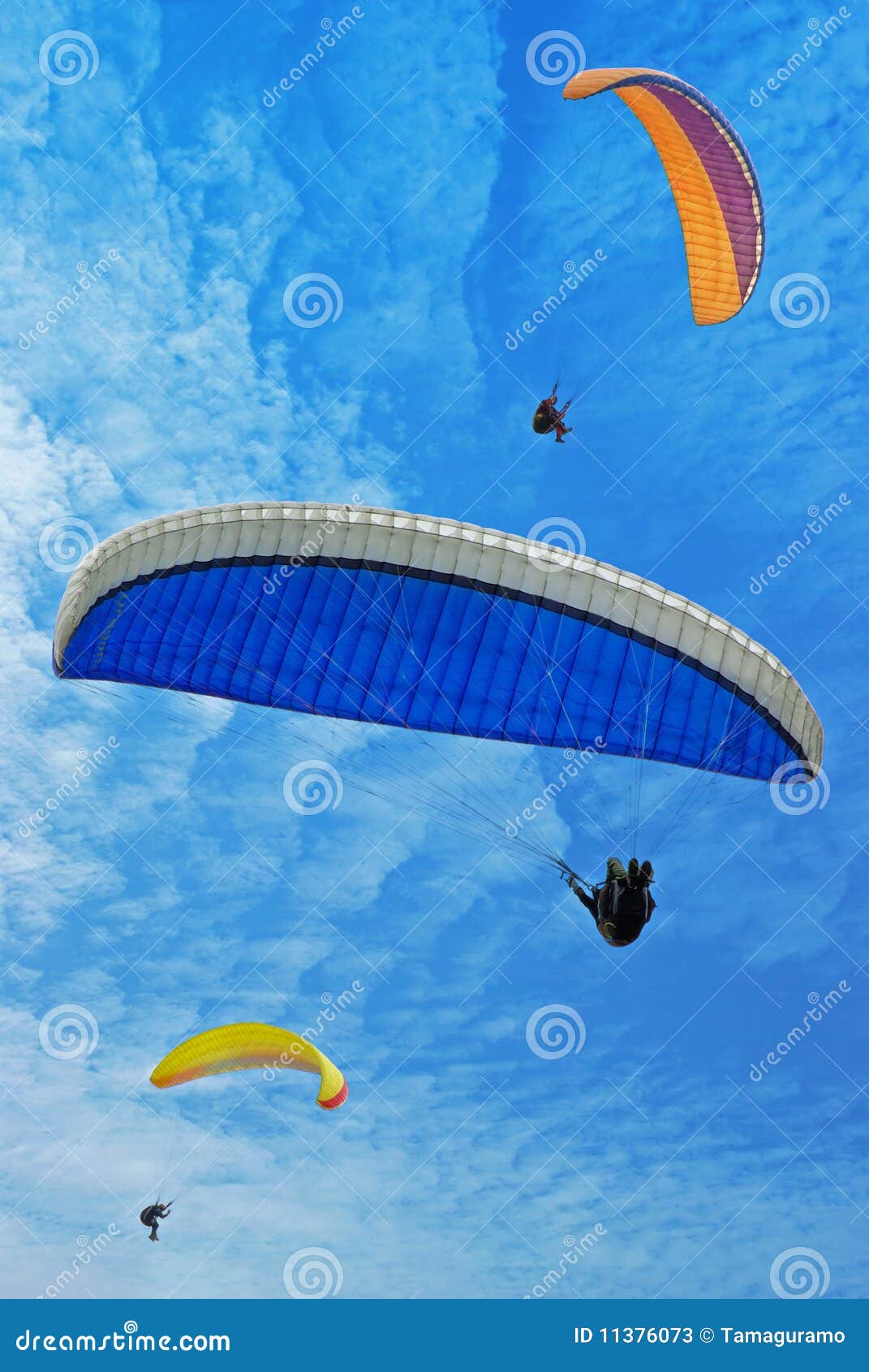 Three flying parachutes stock image. Image of parasailing 11376073