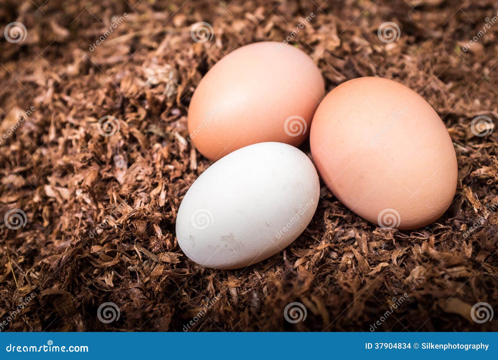 three fresh eggs horizontal