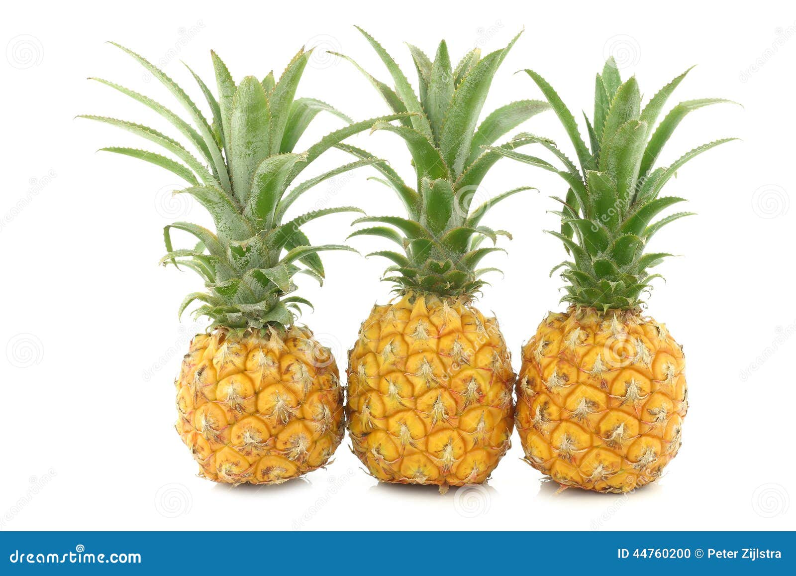 Three Fresh Mini Pineapple Fruits Stock Photo Image of ingredient