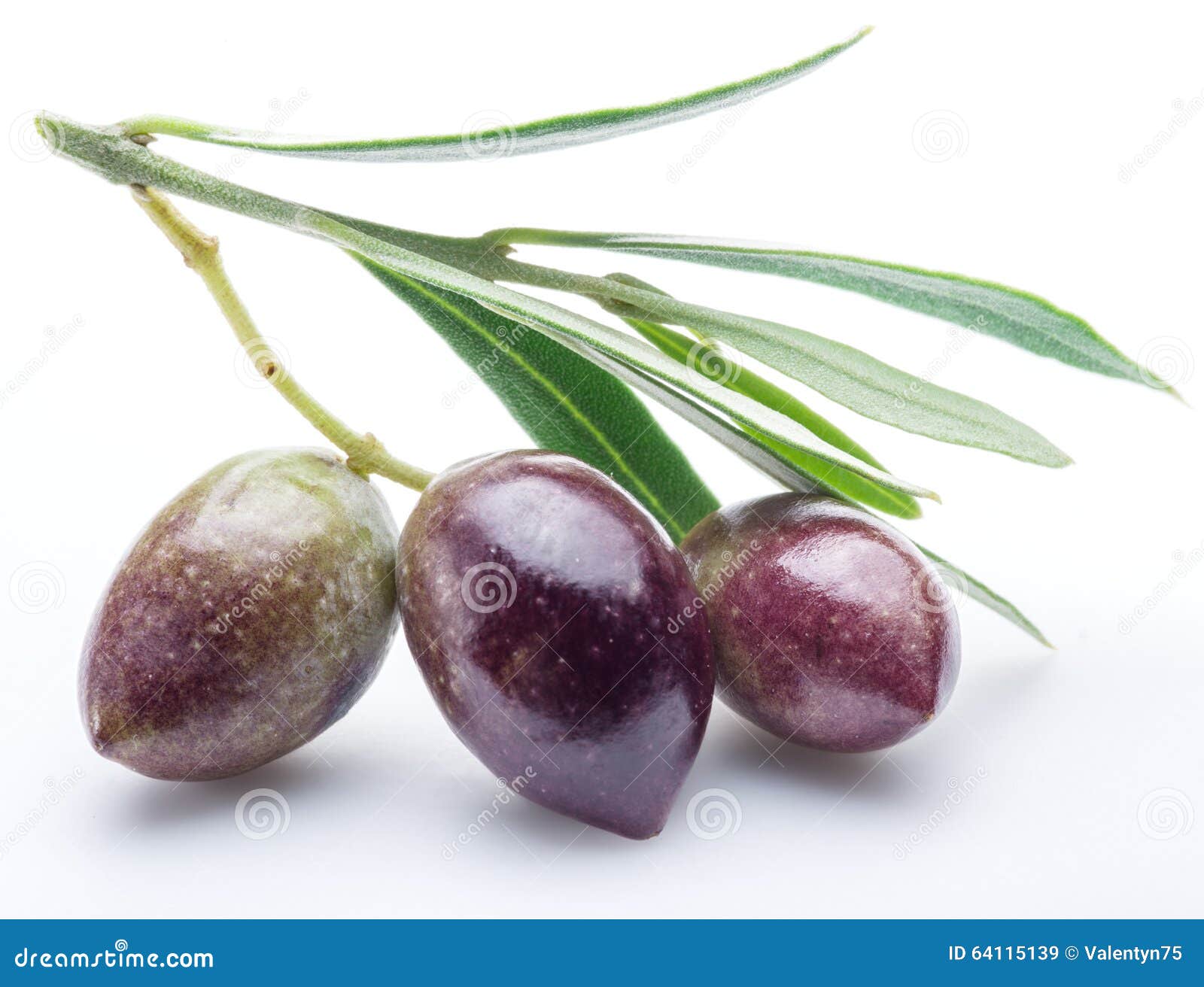 Three Fresh Olives with Leaves. Stock Image Image of food, ripe 64115139