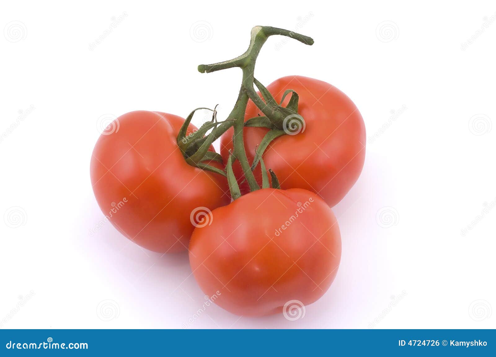 Three Full Red Tomatoes on a Branch. Stock Photo Image of background