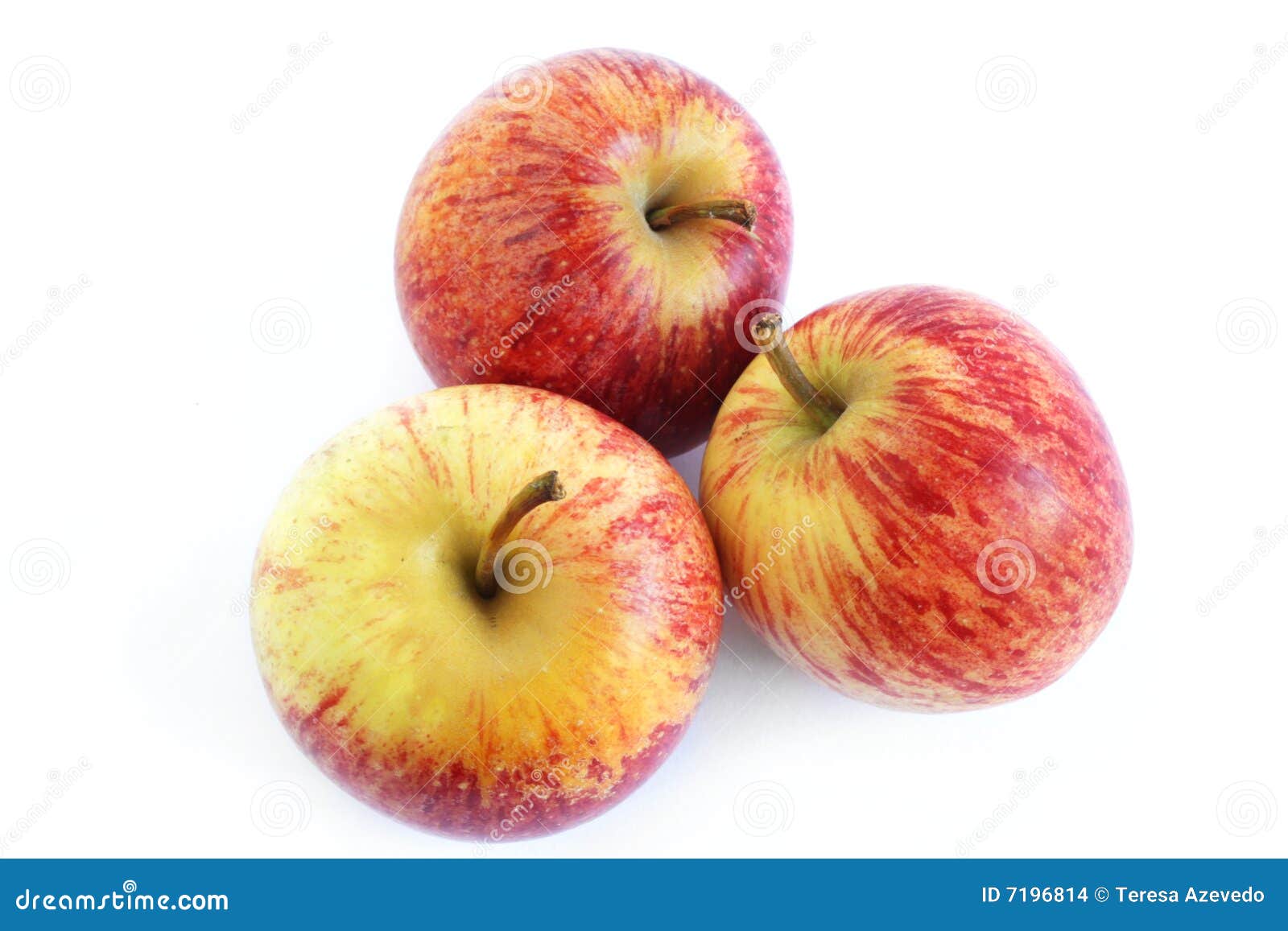 Three gala apples stock photo. Image of gourmet, dessert 7196814