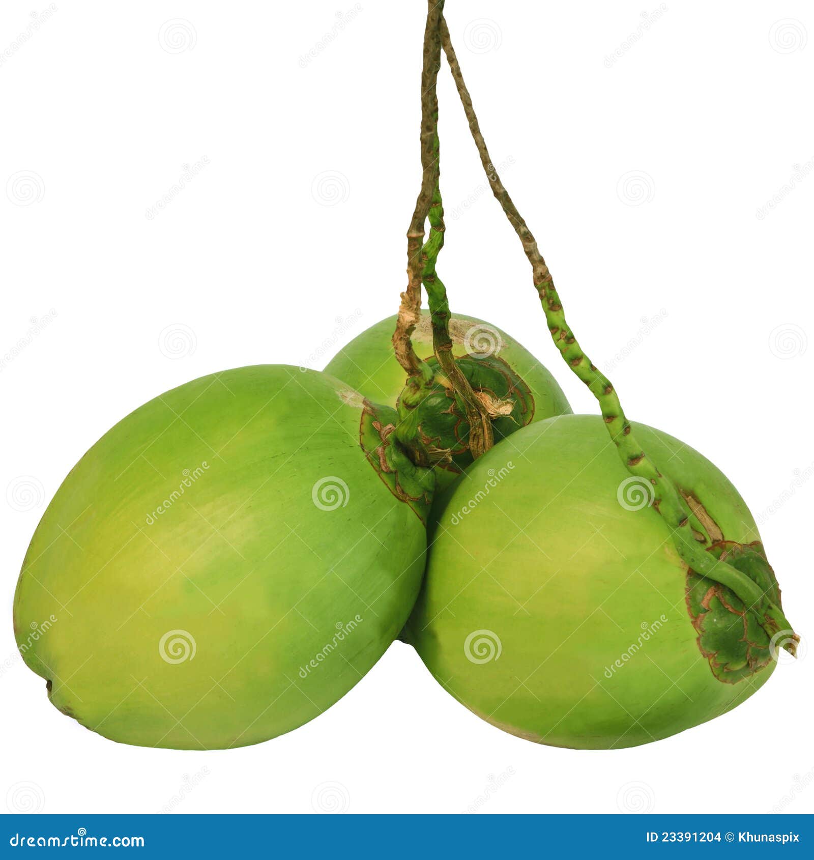 Three Of Green Coconuts Isolated On White Stock Images - Image: 23391204