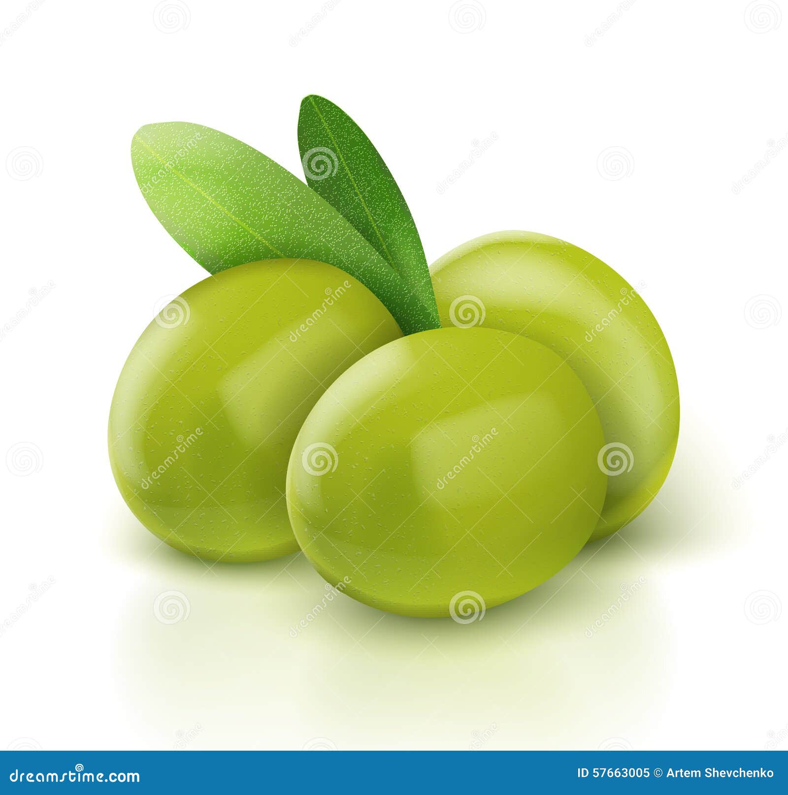 Three green vector olives stock vector. Illustration of shiny - 57663005