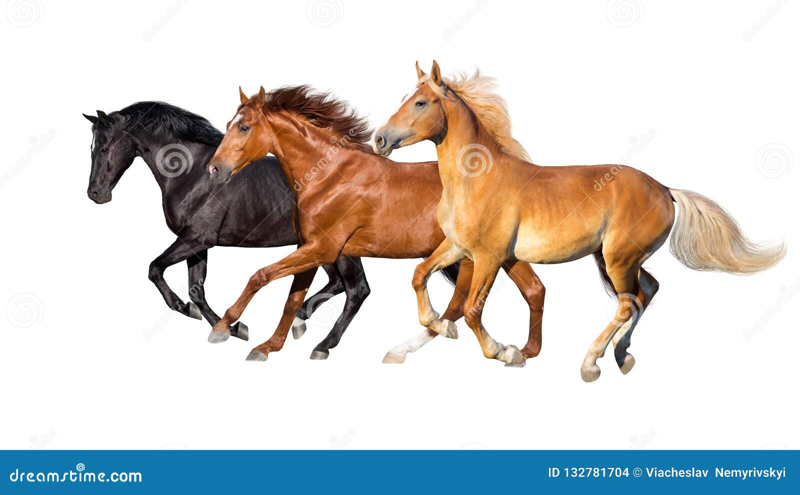 three horse run 