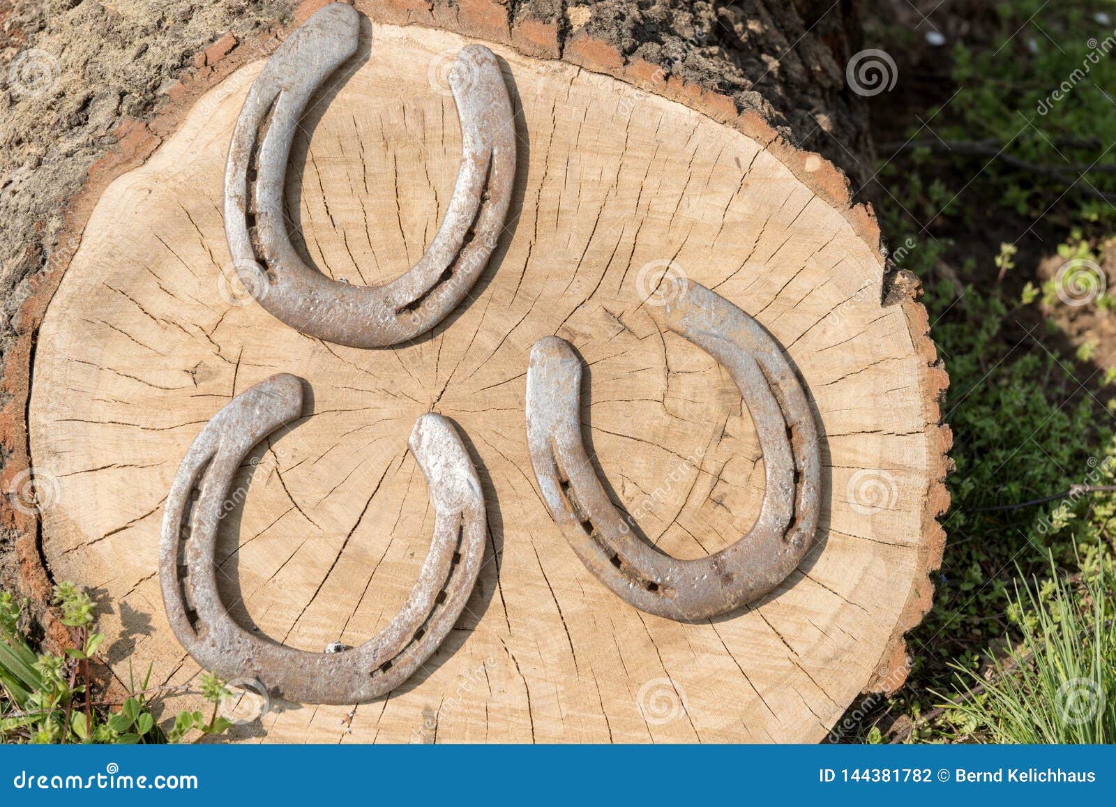 Three Horseshoe on Wooden Trunk Stock Photo Image of metal, closeup
