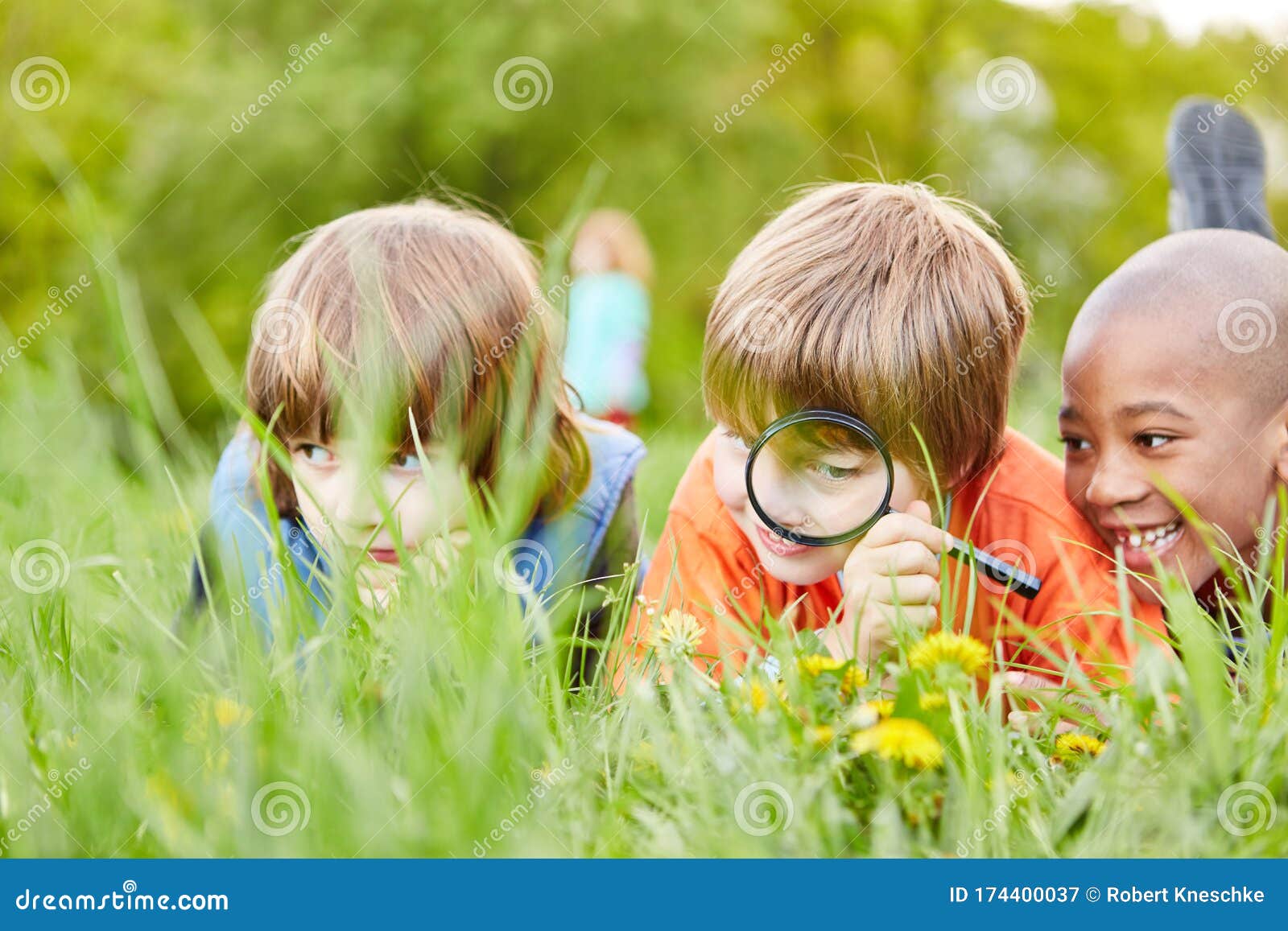 Sind tabe lejesoldat Three Kids are Exploring Nature with the Magnifying Glass Stock Image -  Image of environmentalism, biology: 174400037