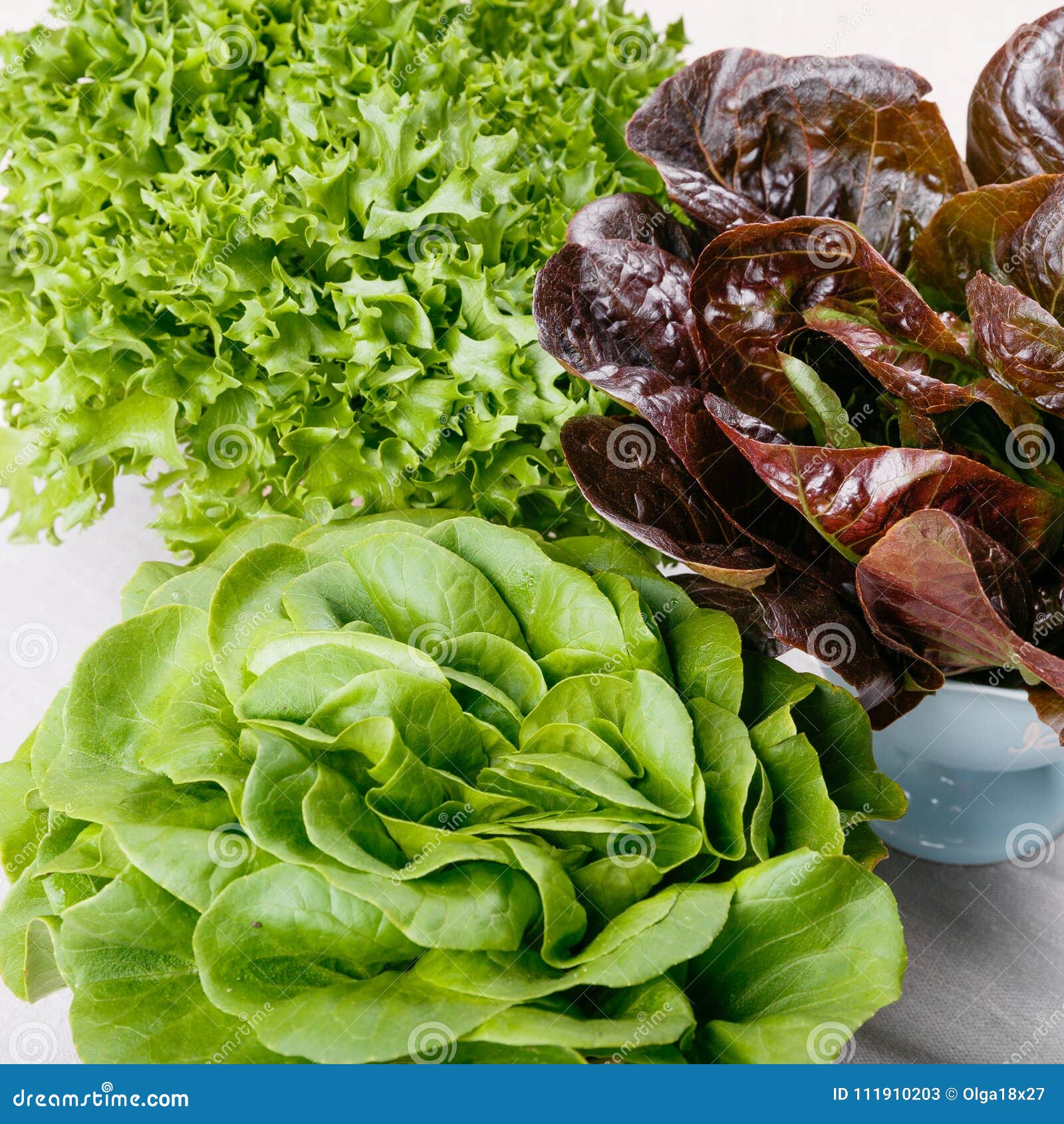 Three kinds of lettuce stock image. Image of butterhead 111910203