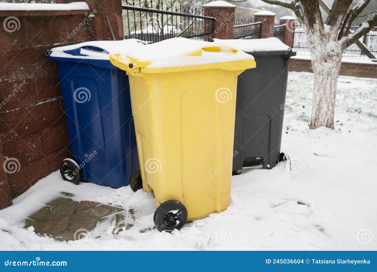 Three Large Old Plastic Trash Cans in the Back Yard of a Home. Garbage Sorting Concept Stock
