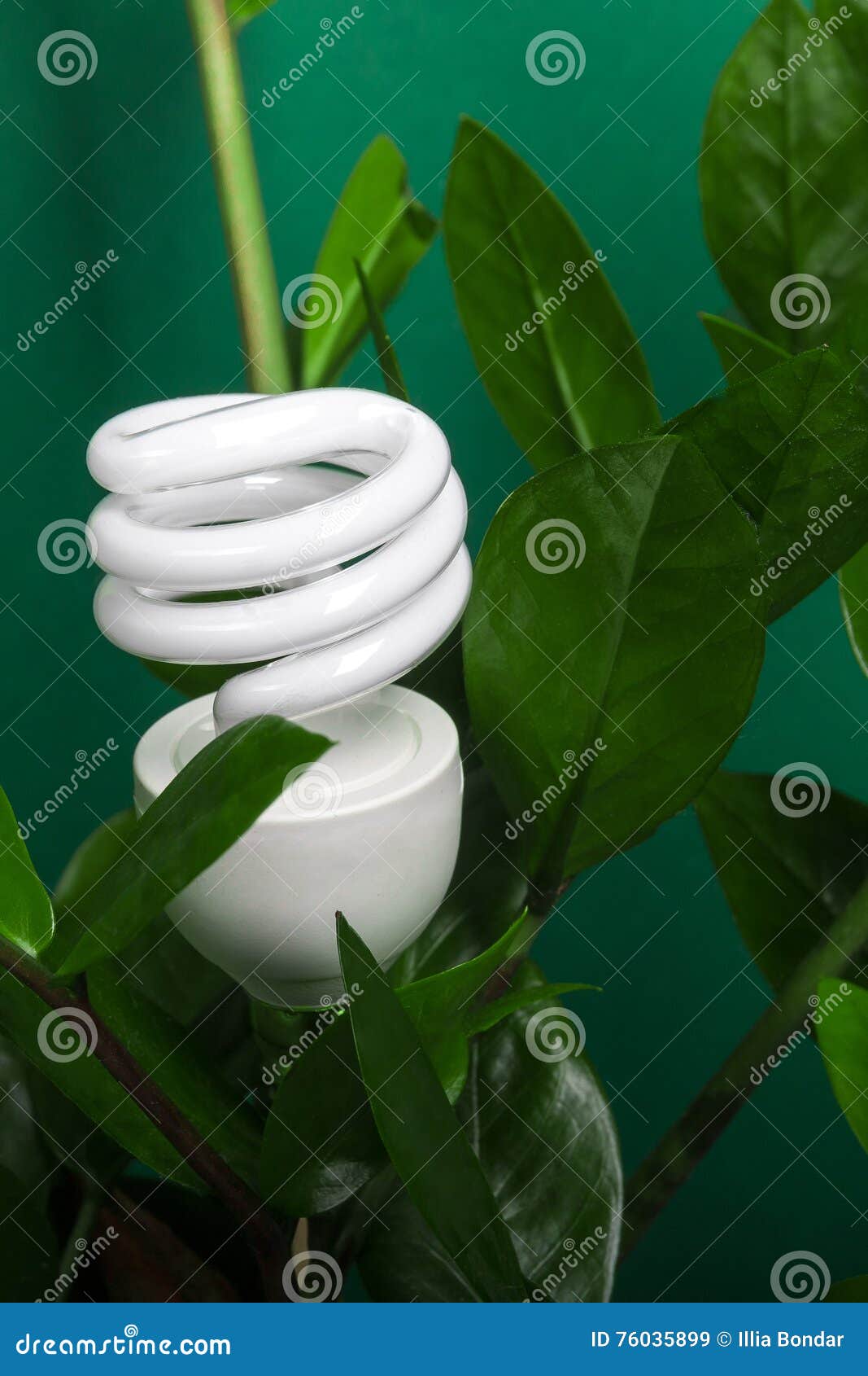 lamp environment lamp environment