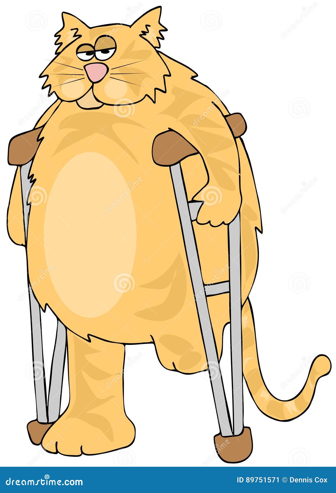 Threelegged Cat on Crutches Stock Illustration Illustration of