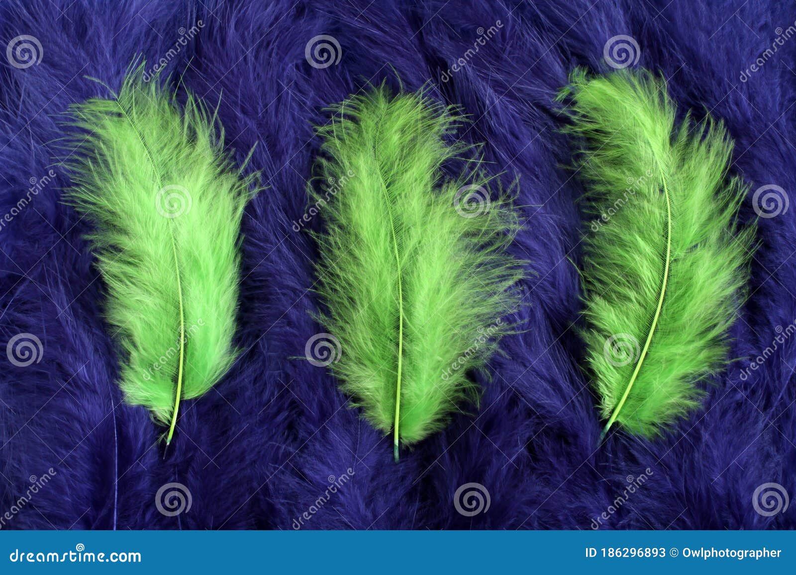 Navy Blue Feathers Images – Browse 9,660 Stock Photos, Vectors