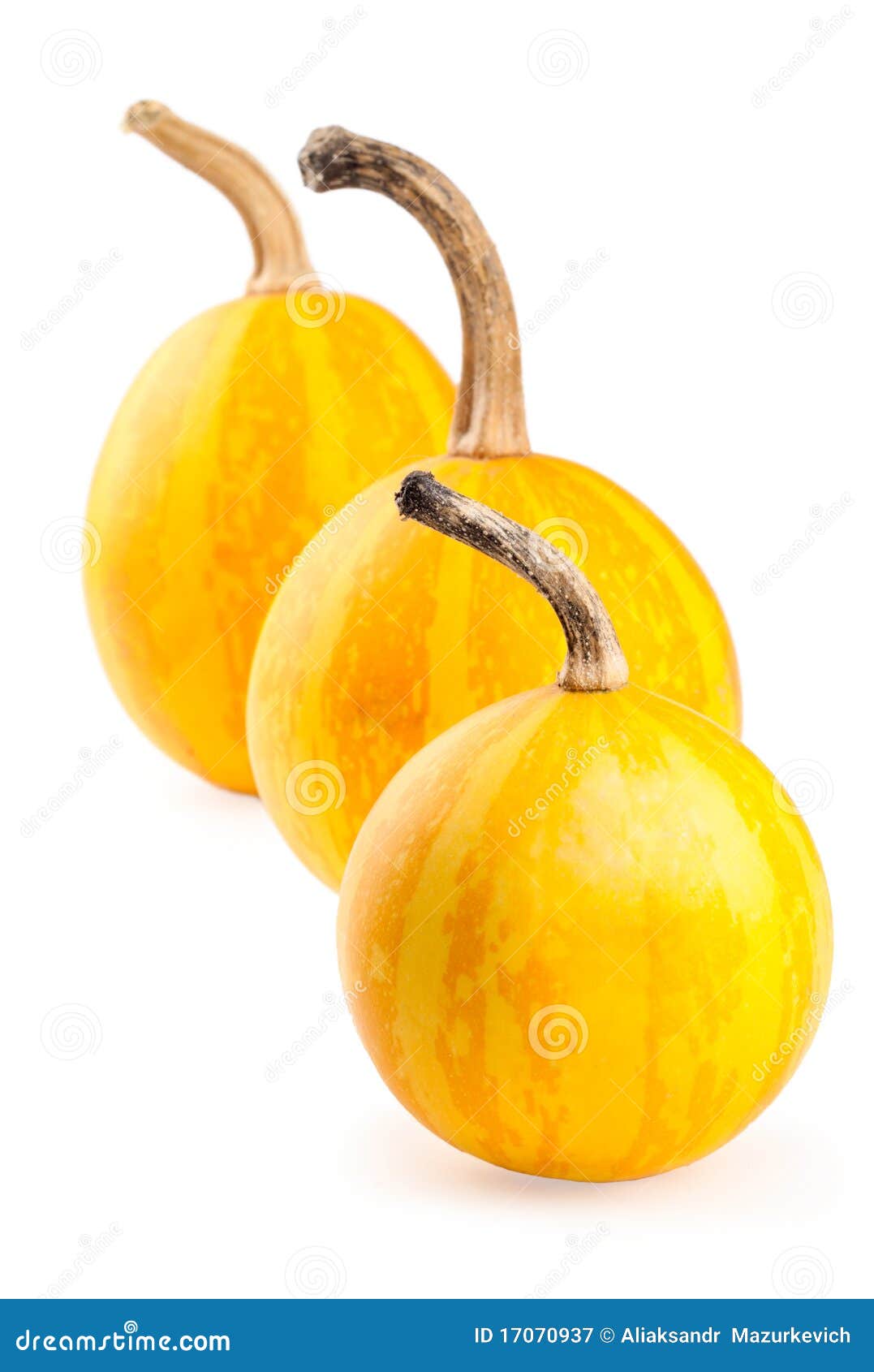 Three Little Decorative Pumpkins Stock Image Image of harvest, gourd