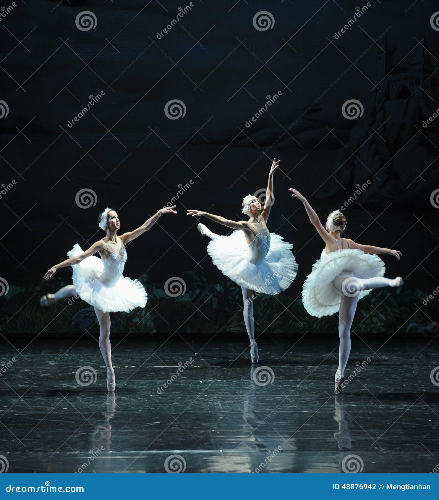 My Image 4