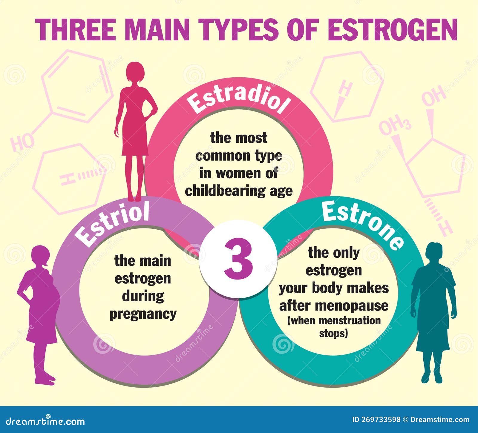 Three Main Types Of Estrogen Infographics Estradiol Estrone And three-main-types-of-estrogen-infographics-estradiol-estrone-and
